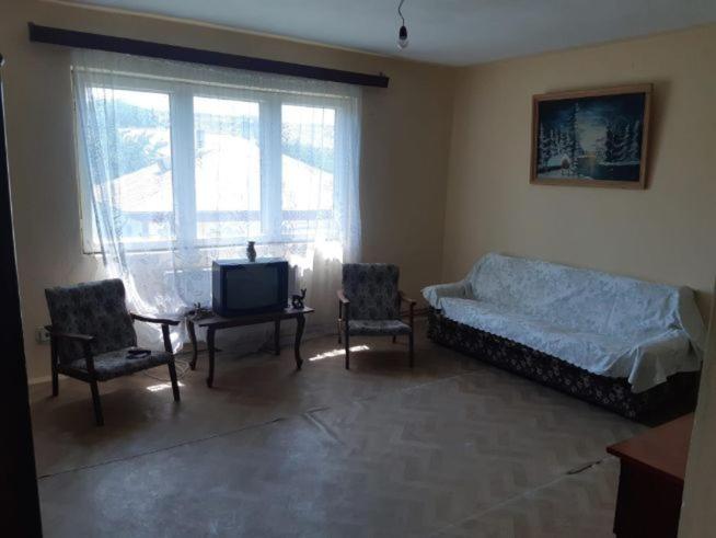 One-Bedroom Villa photo 1