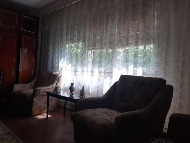 One-Bedroom Villa photo 2