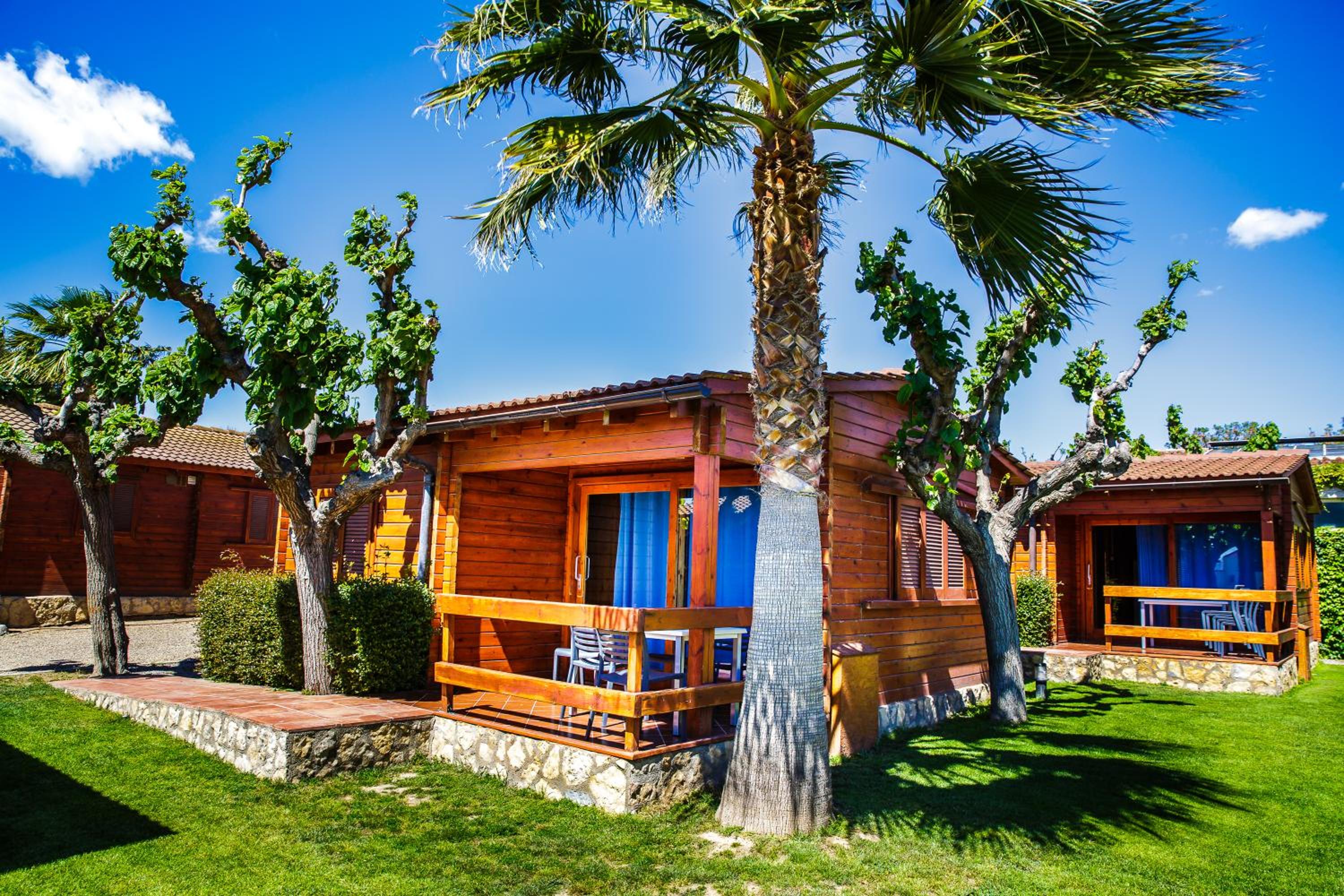 Deluxe Bungalow photo 3