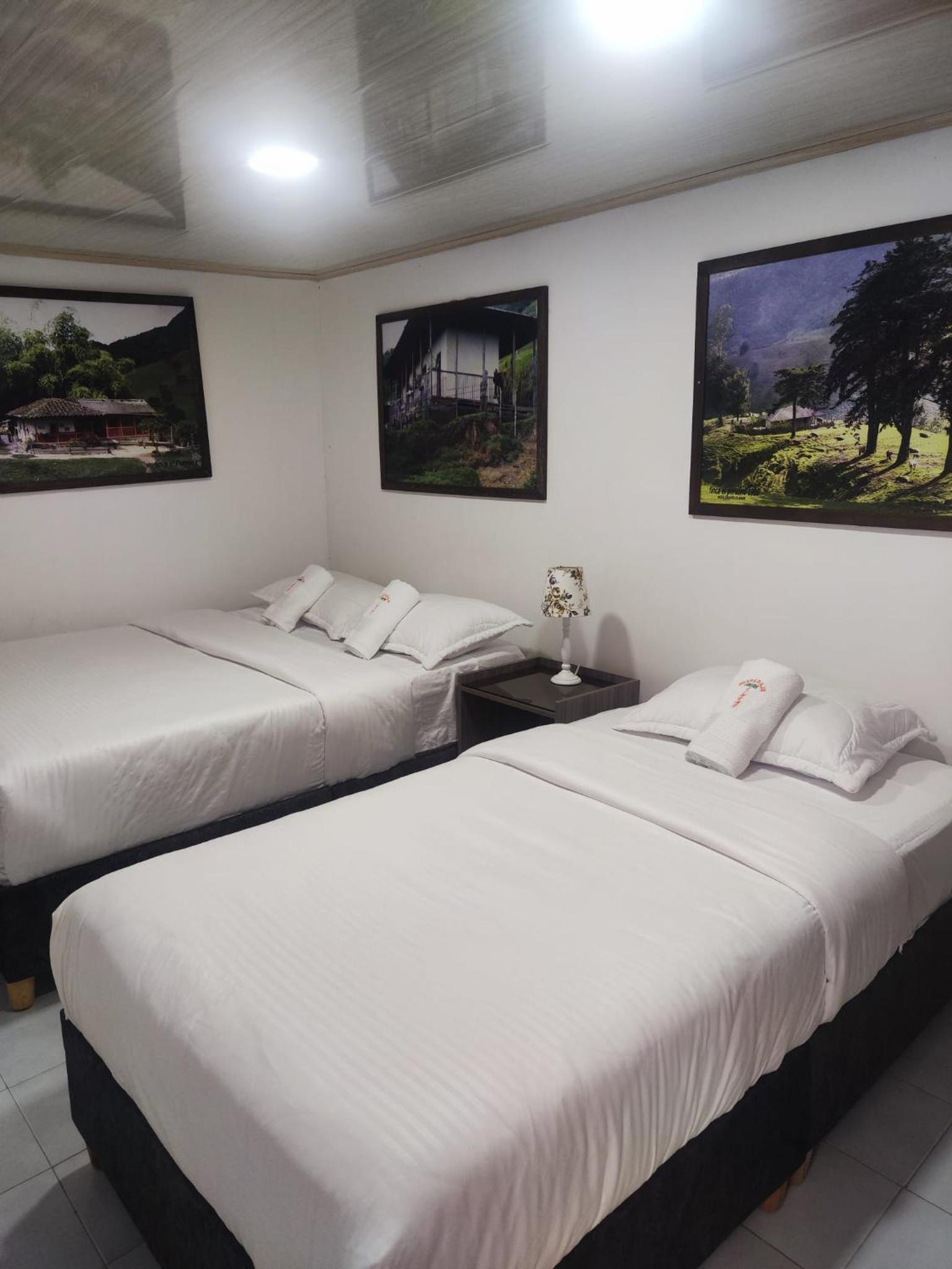 Double or Twin Room photo 1