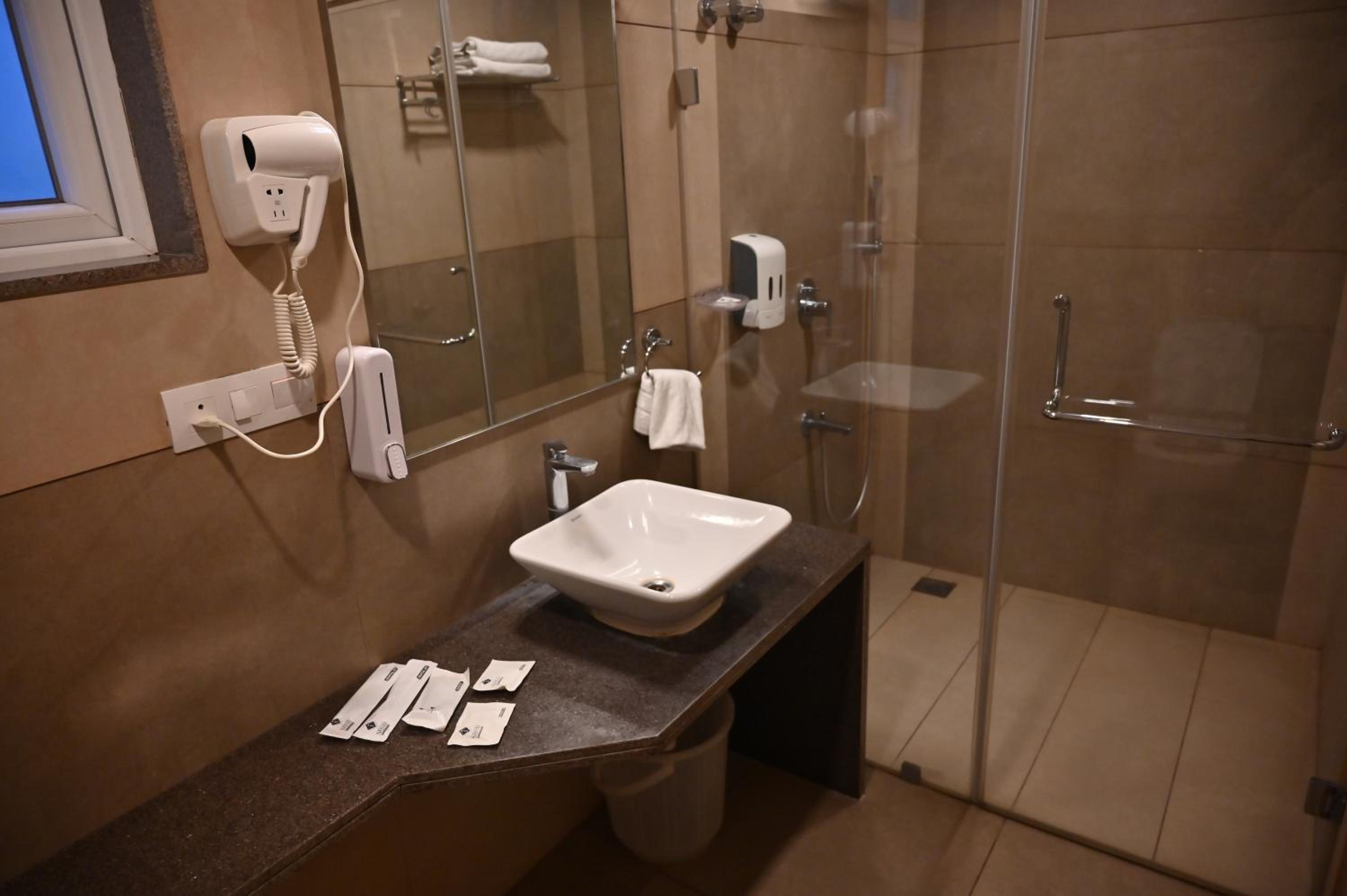 Deluxe Double or Twin Room - Photo 11