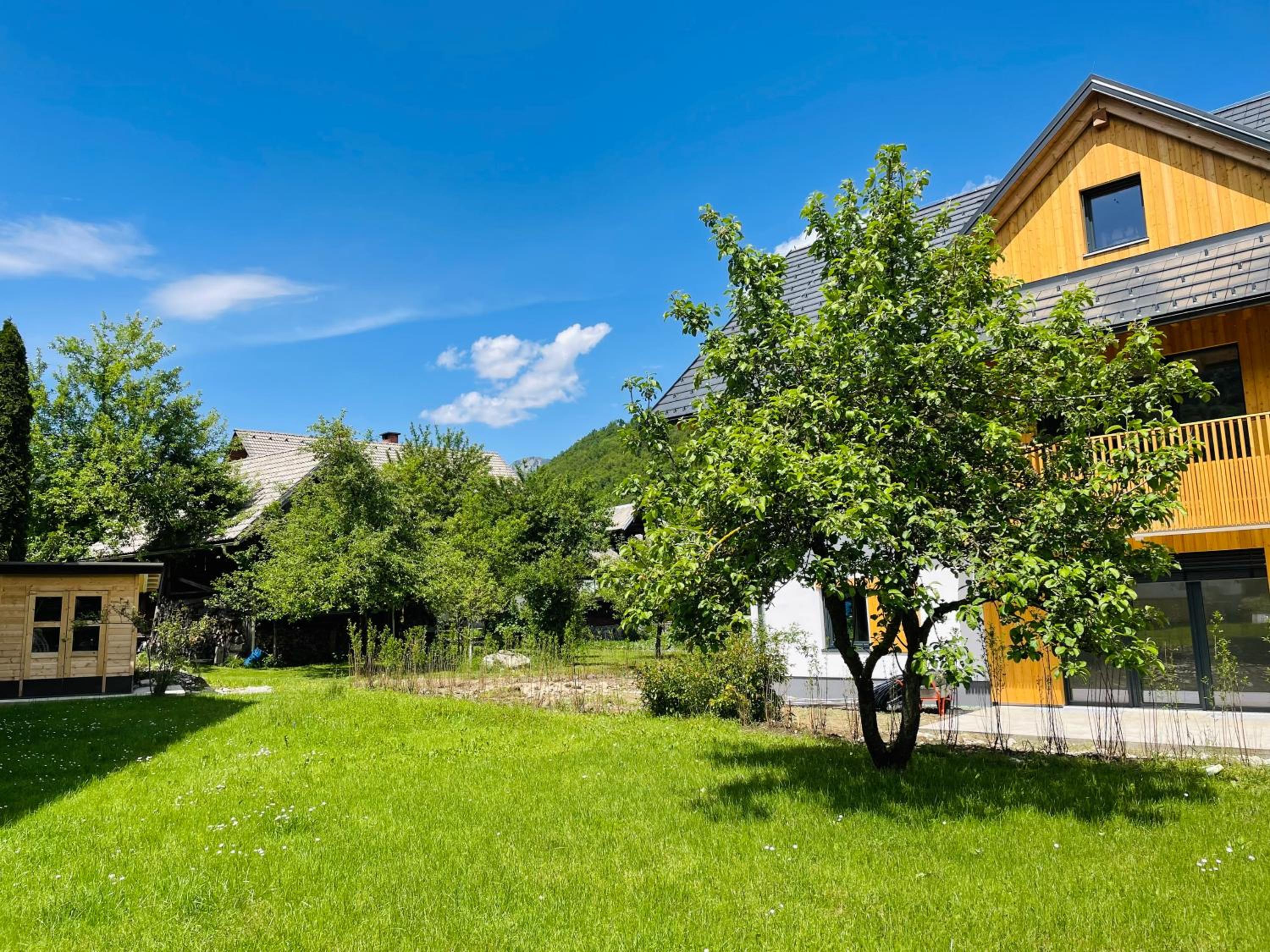 Studio with Garden View photo 3