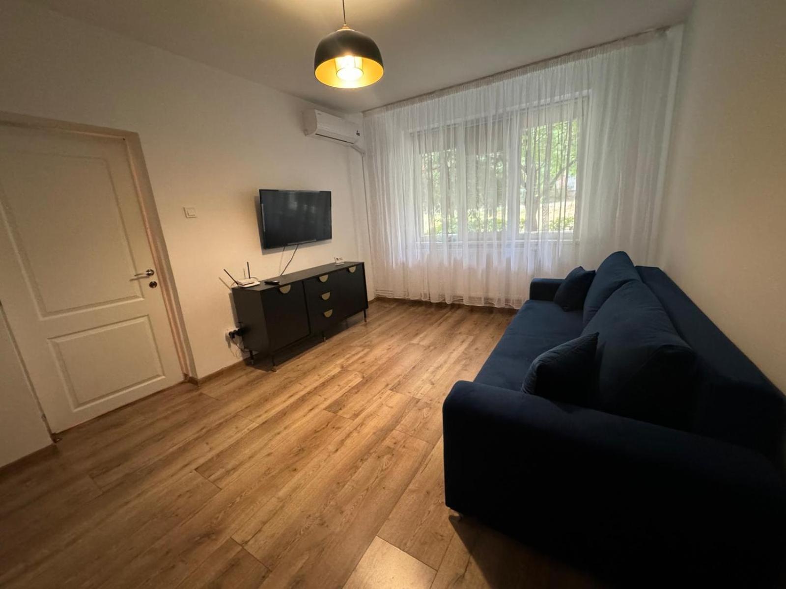 One-Bedroom Apartment photo 3