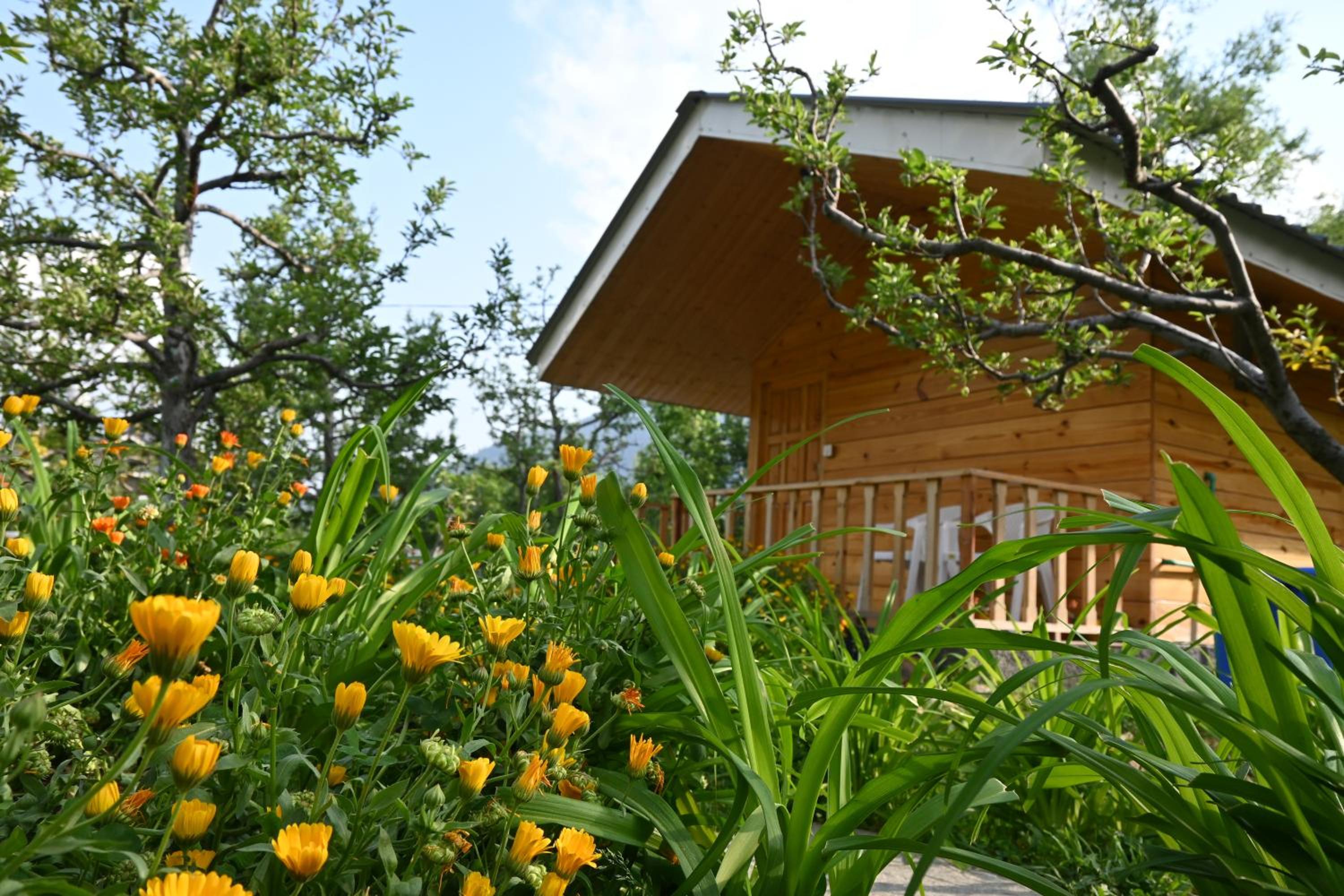 One-Bedroom Chalet photo 2