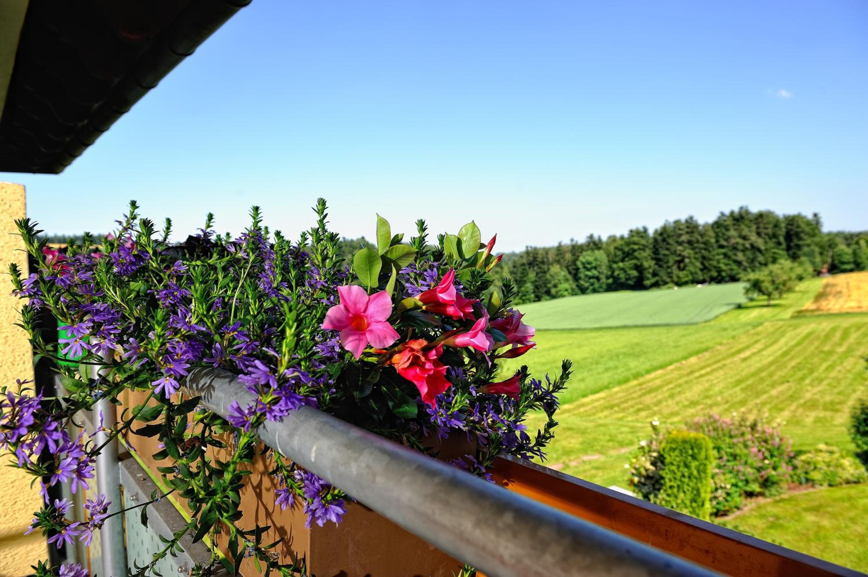 Deluxe Double Room with Balcony photo 2