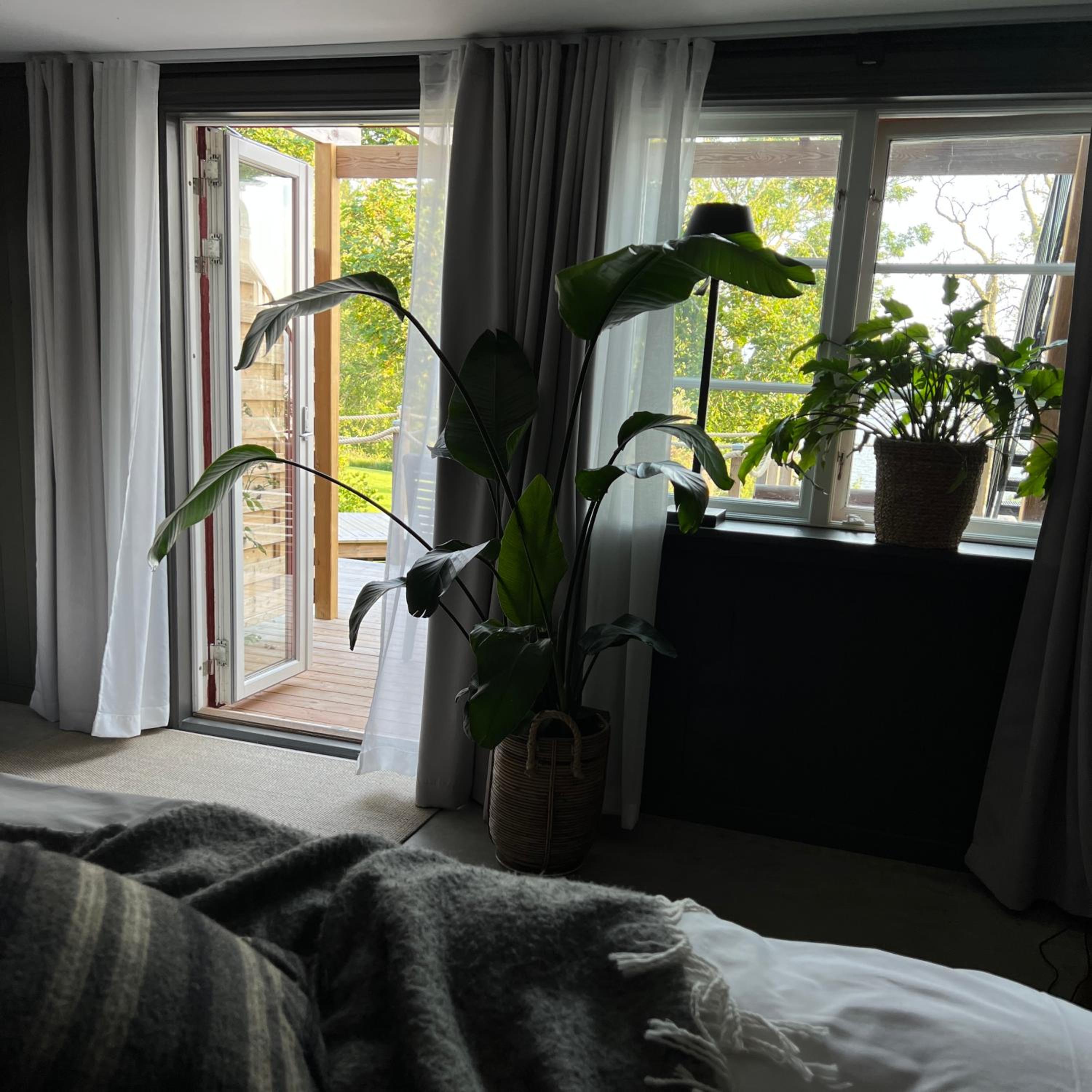 Deluxe Junior Suite photo 1