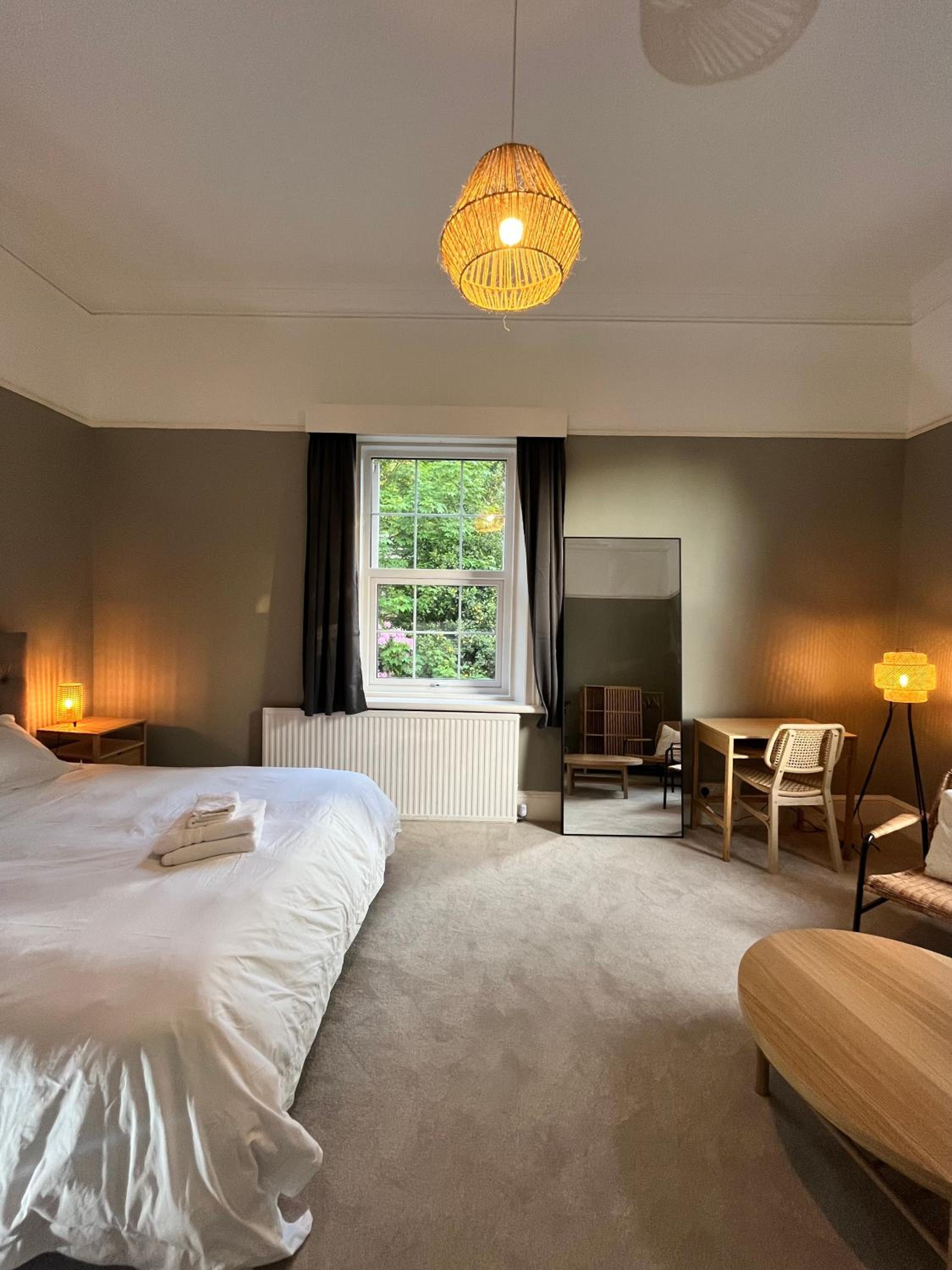 Deluxe King Suite photo 1
