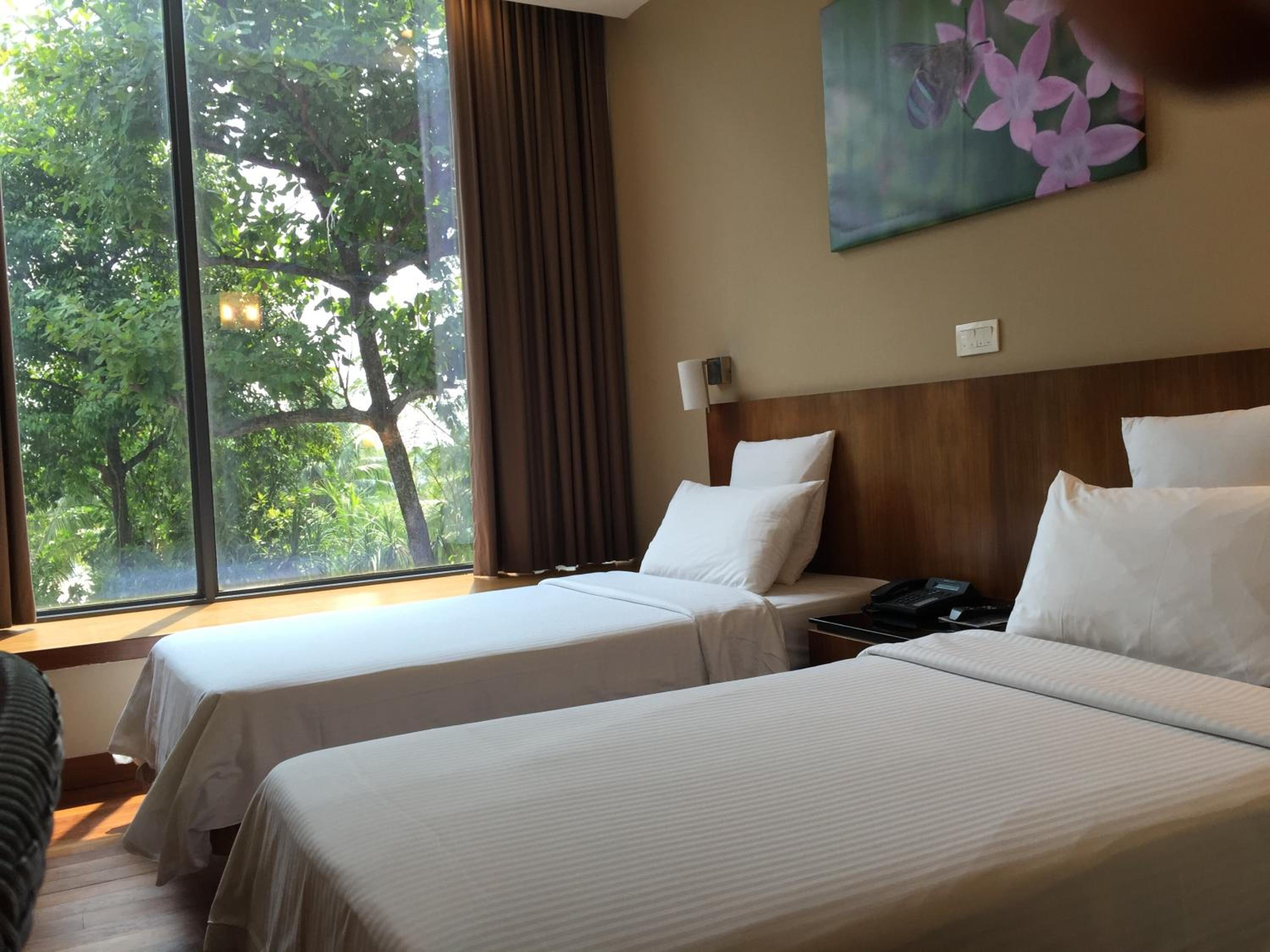 Superior Double or Twin Room photo 3