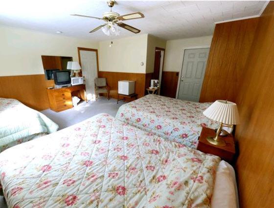 Two Queen Beds and One Twin Bed photo 1