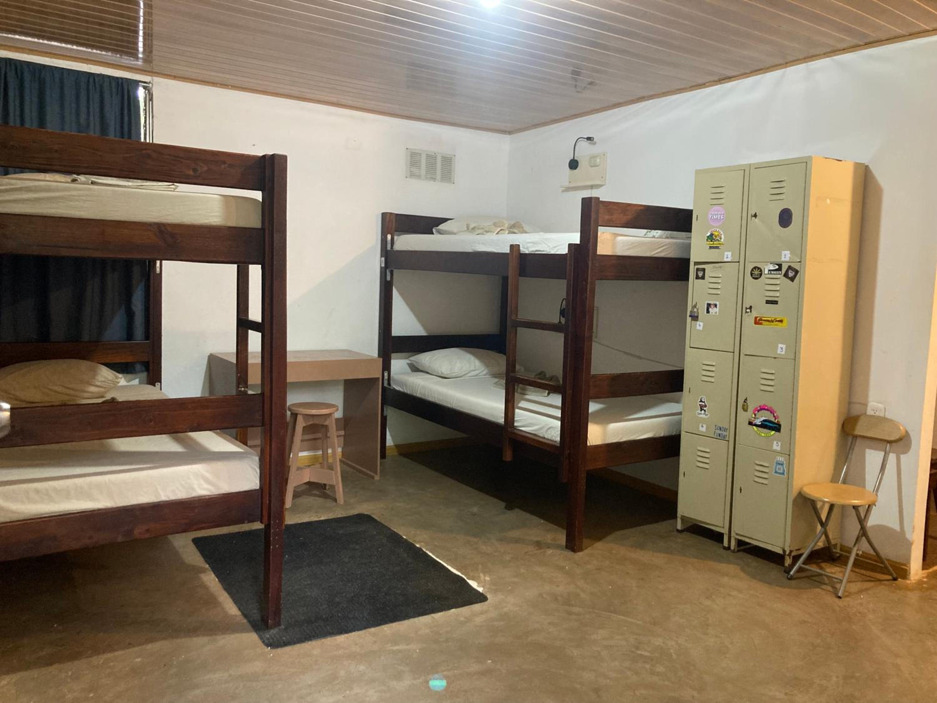 Bed in 6-Bed Dormitory Room