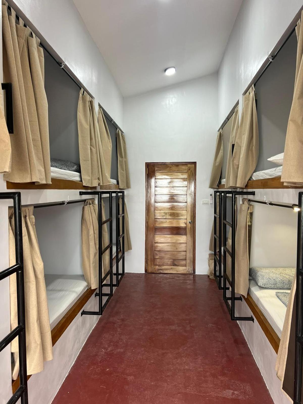 Bunk Bed in Mixed Dormitory Room photo 3
