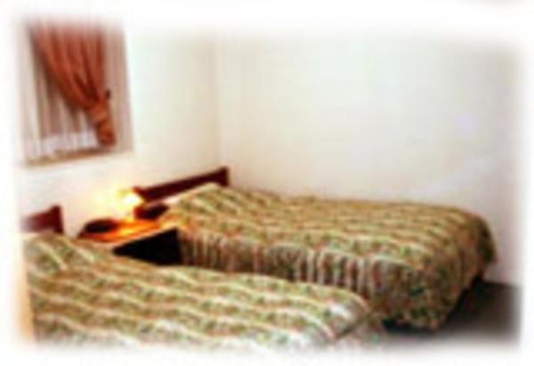 Twin Room photo 3