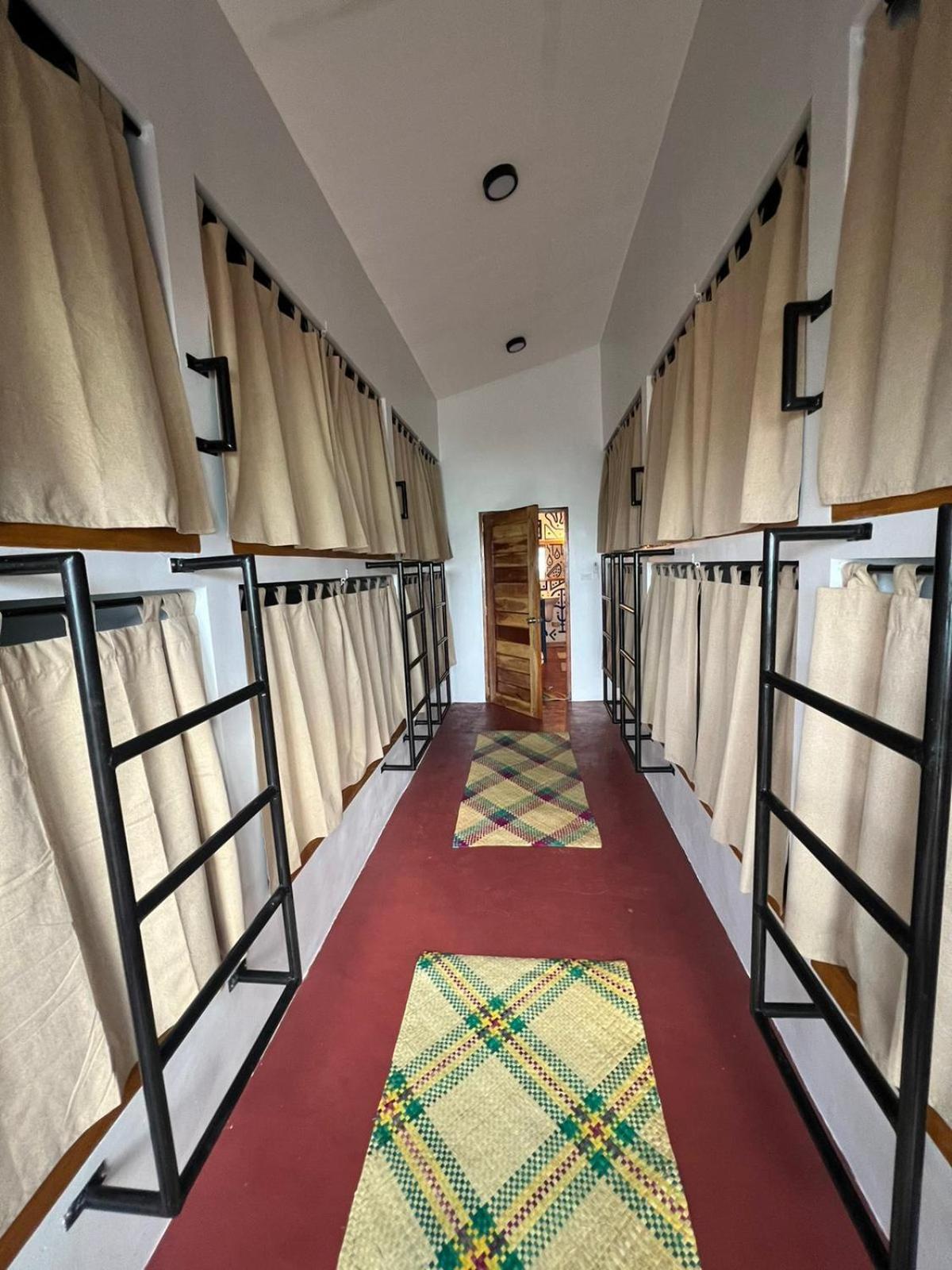 Bunk Bed in Mixed Dormitory Room photo 1
