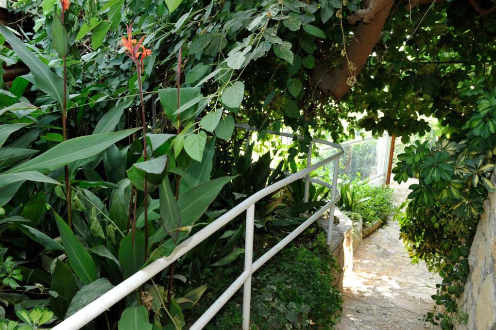 Deluxe Double Room with Terrace (Agam) - Photo 11