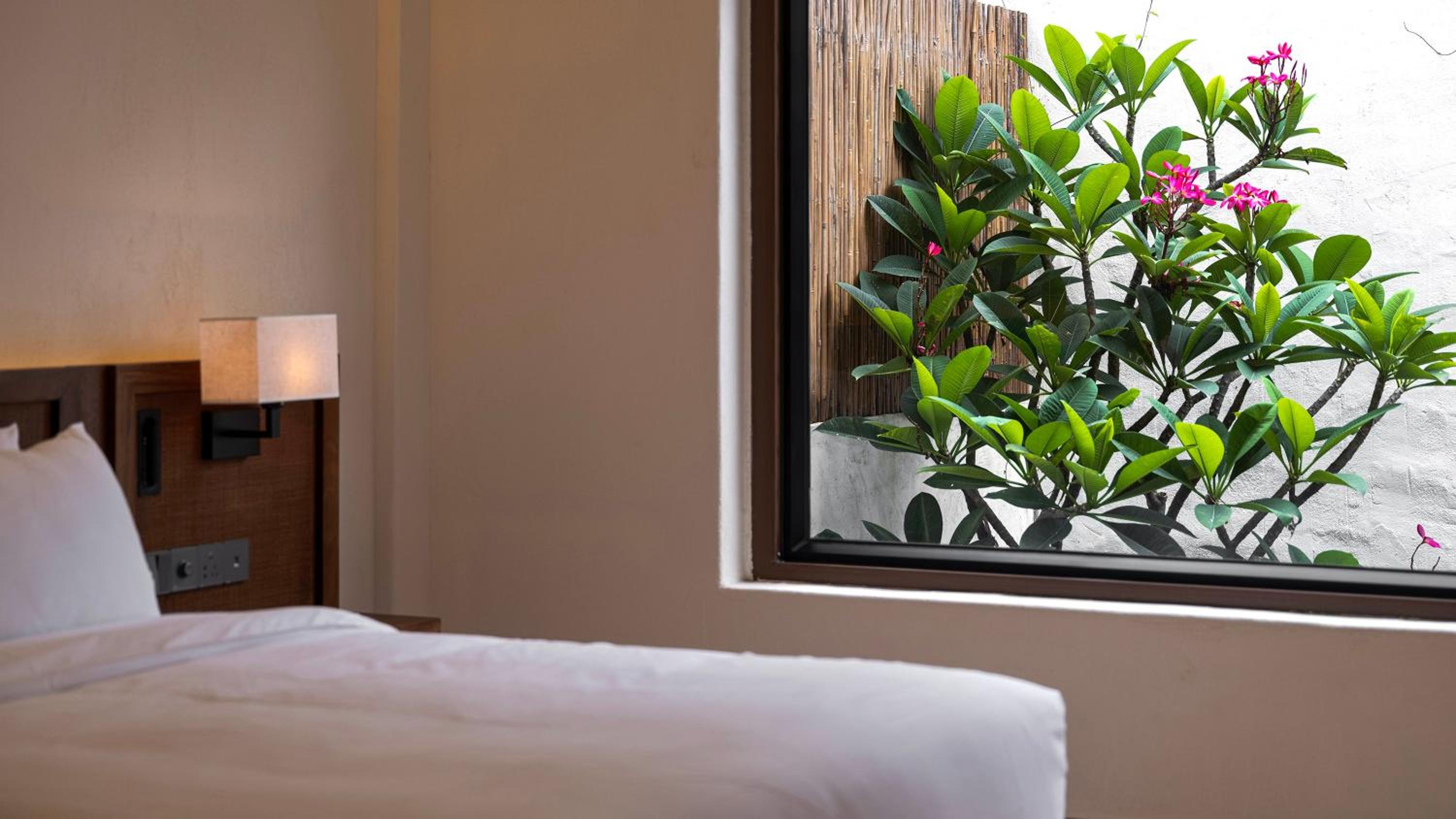King Room with Garden View photo 2