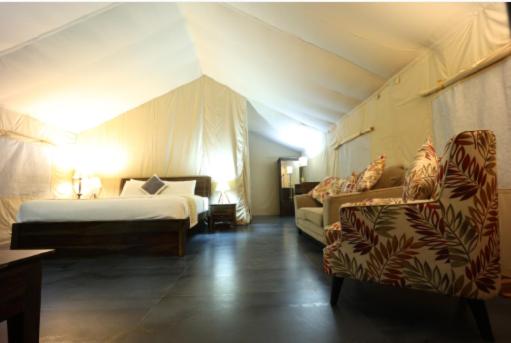 Tent - Photo 9