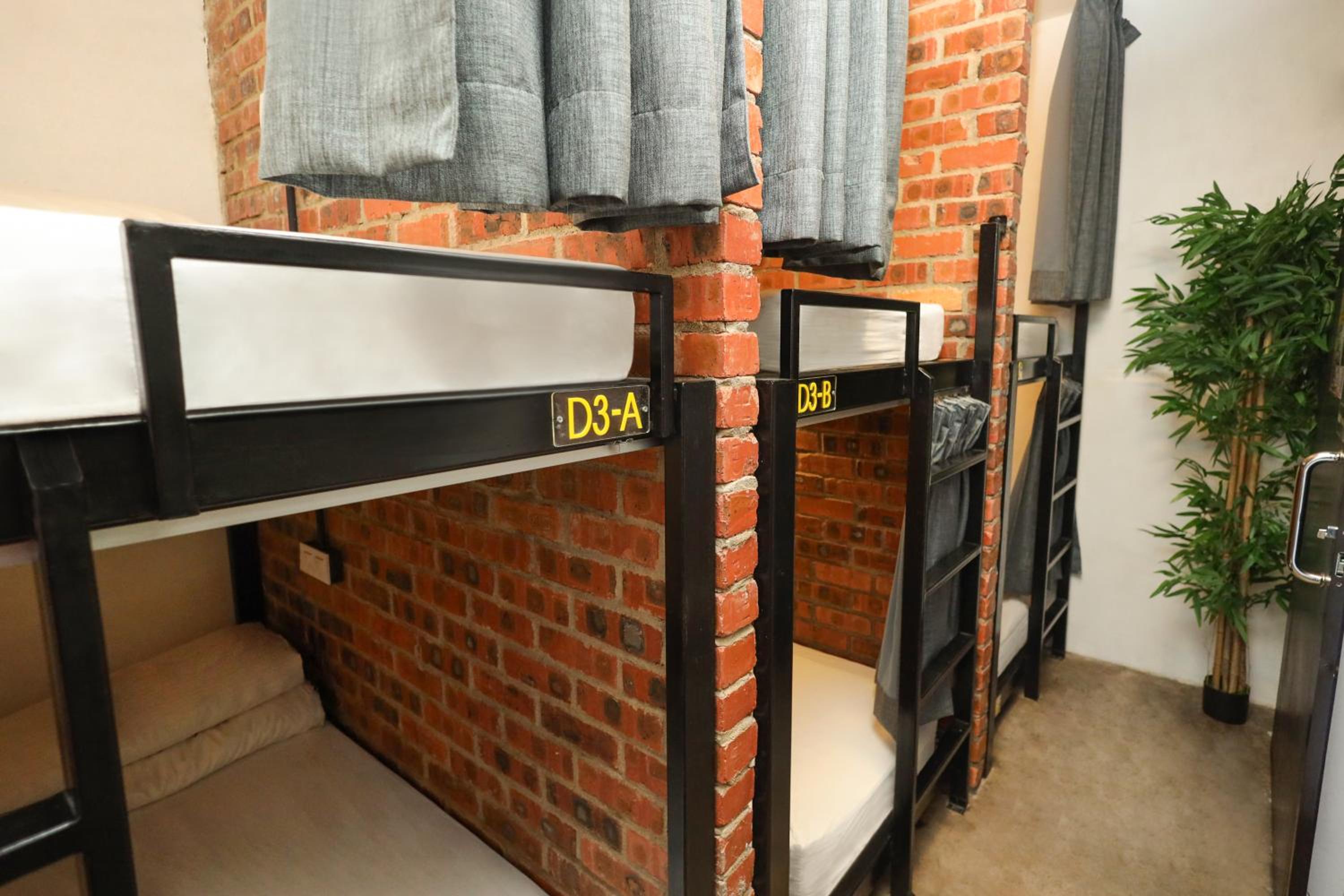 Bunk Bed in Mixed Dormitory Room