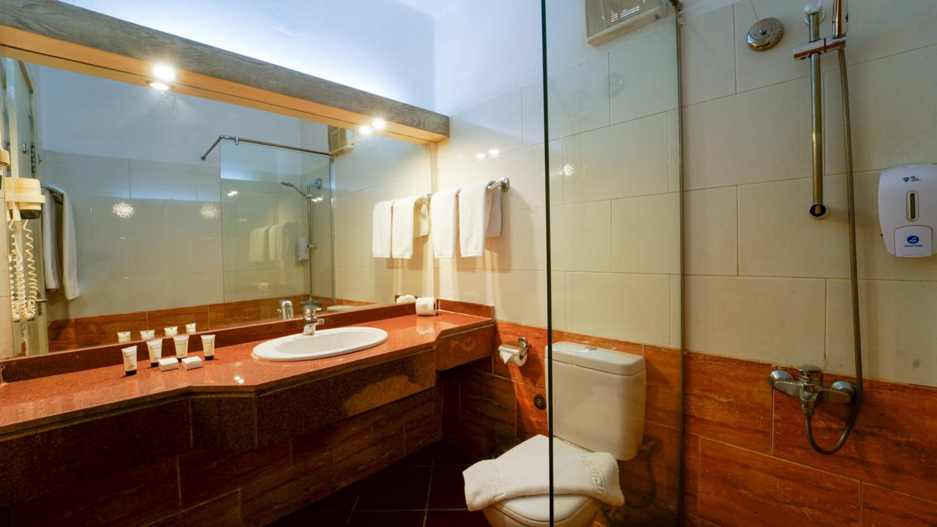 Deluxe Suite photo 3