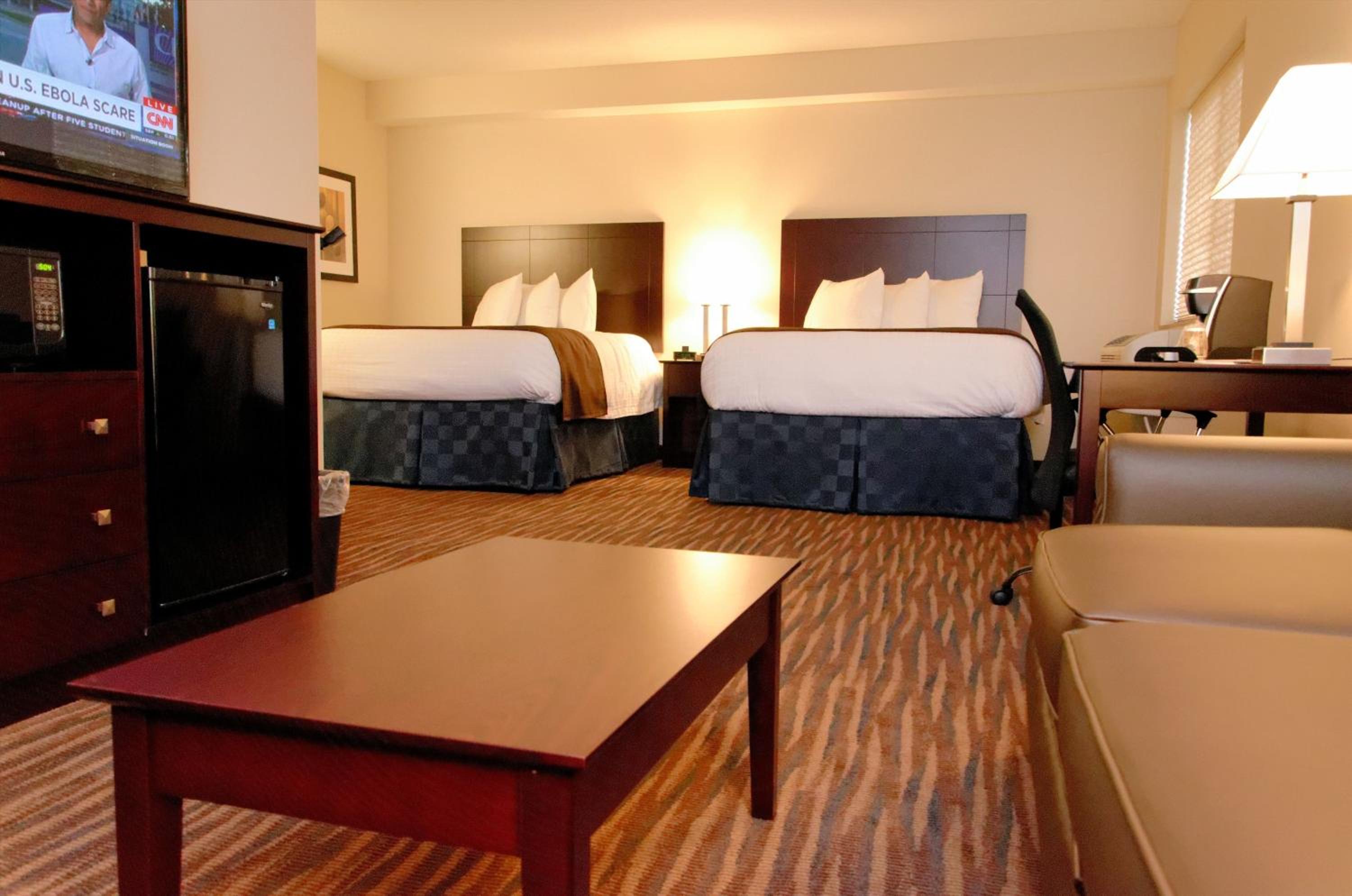 Family Suite photo 2