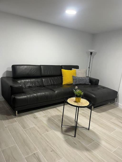 One-Bedroom Apartment photo 3