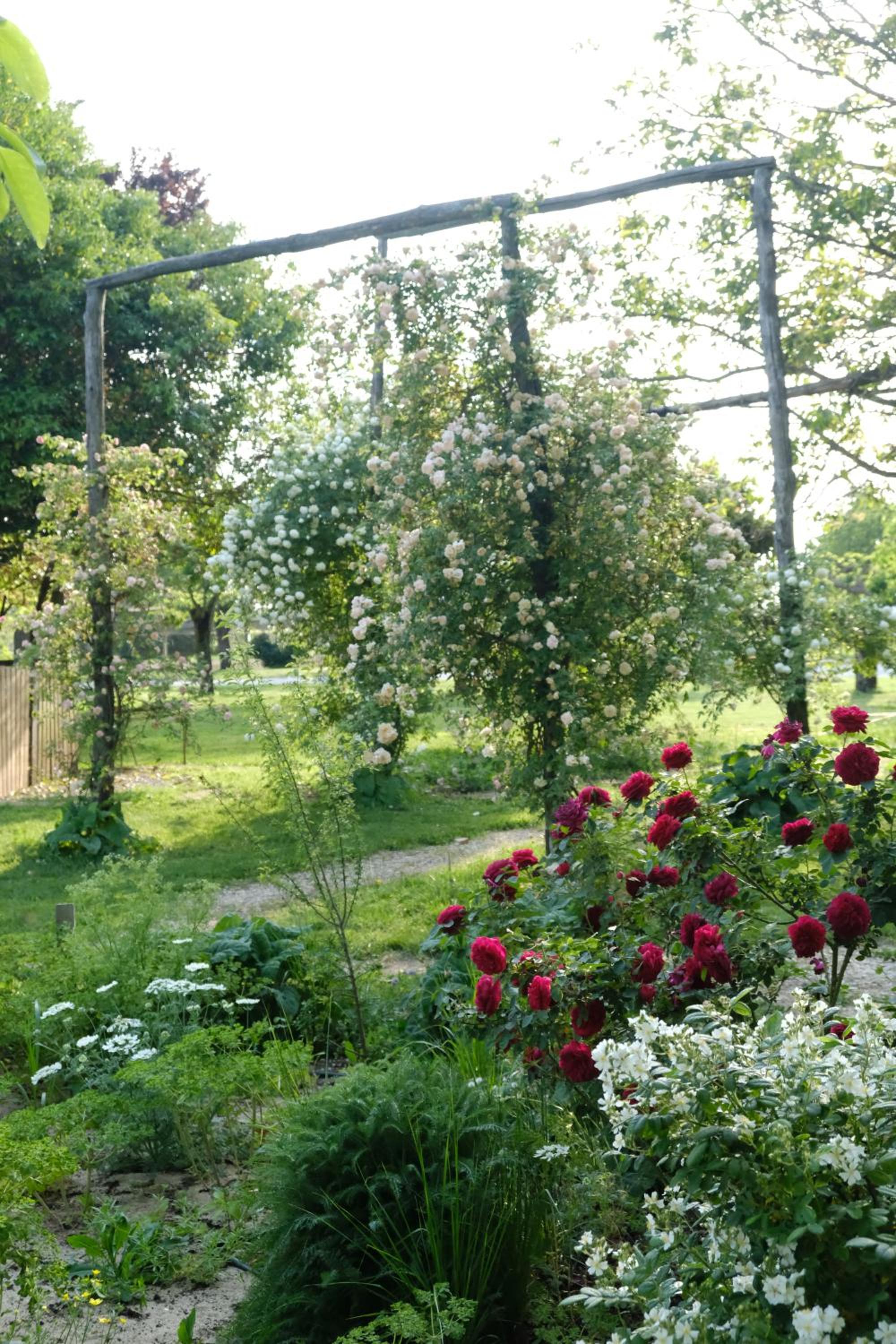 Junior Suite with Garden View - Photo 2