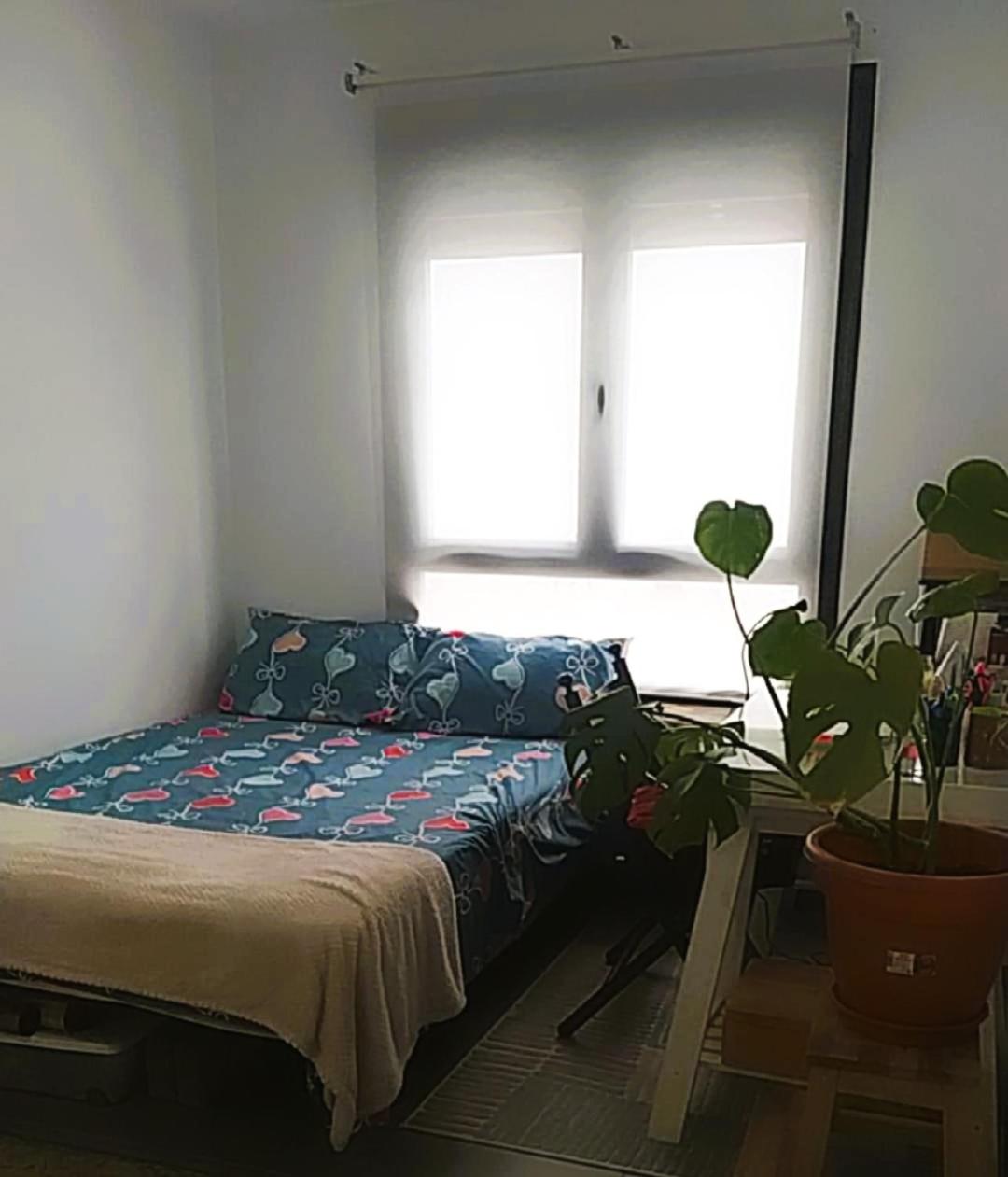Two-Bedroom Apartment photo 3