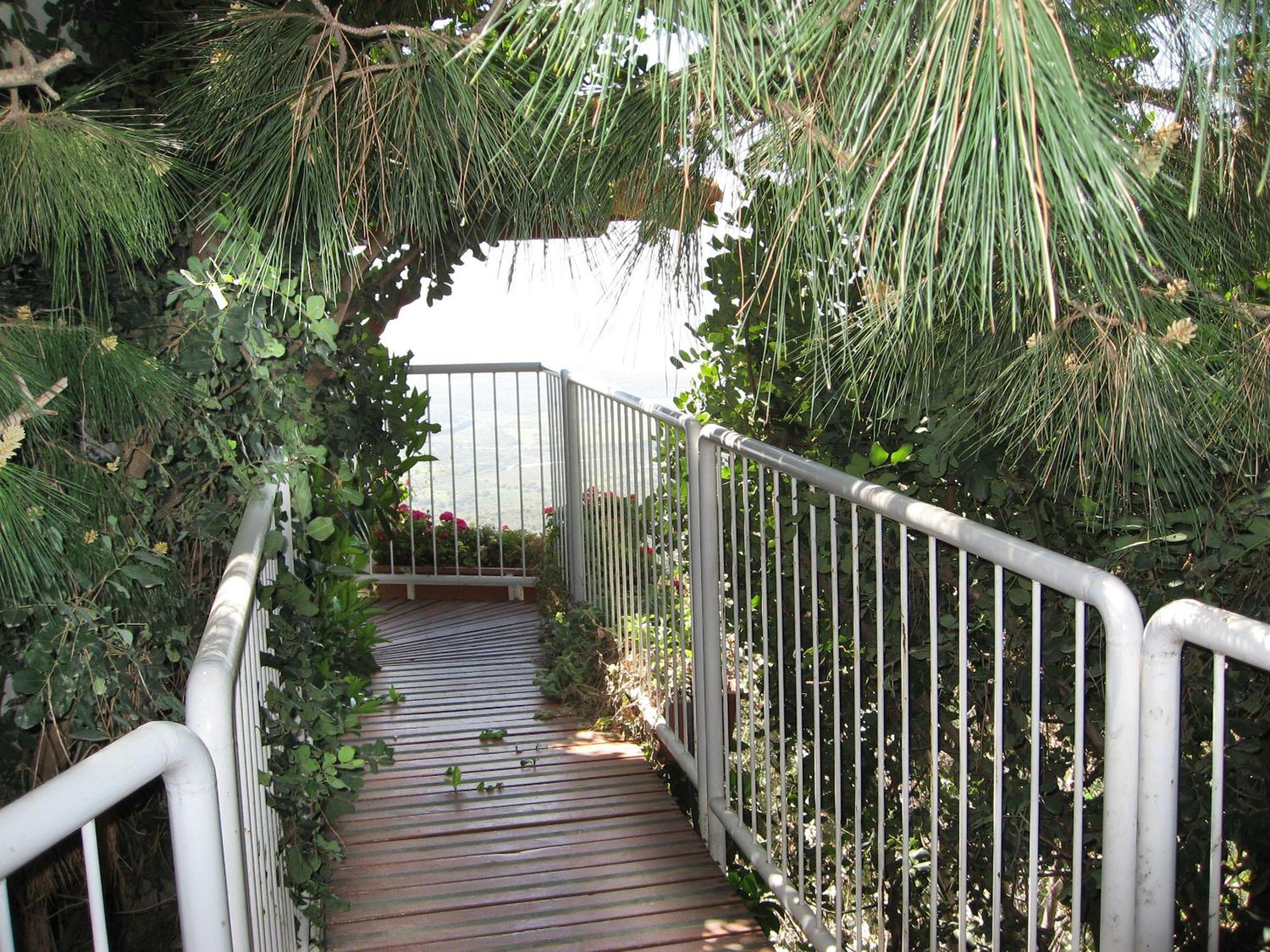 Penthouse Suite (Elinof) - Photo 2