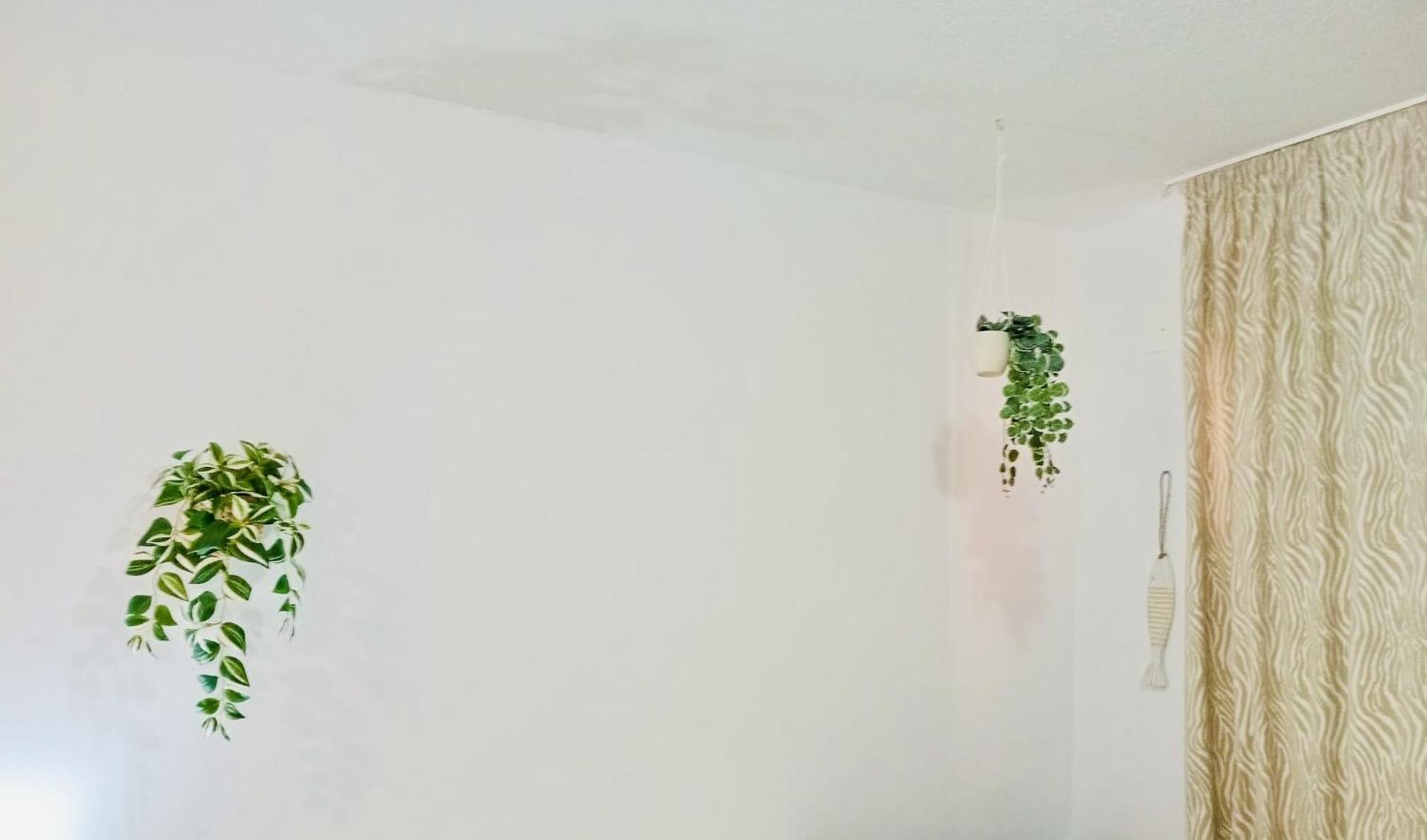 Deluxe Double Studio photo 3