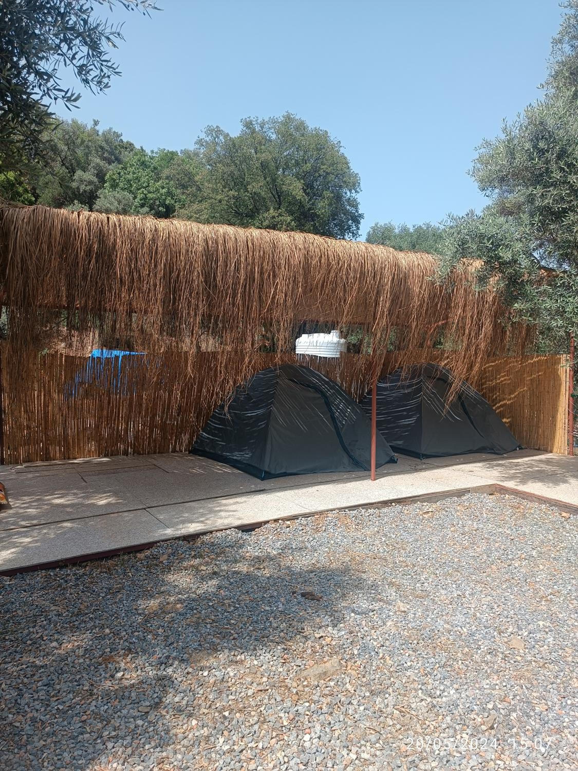 Tent photo 3