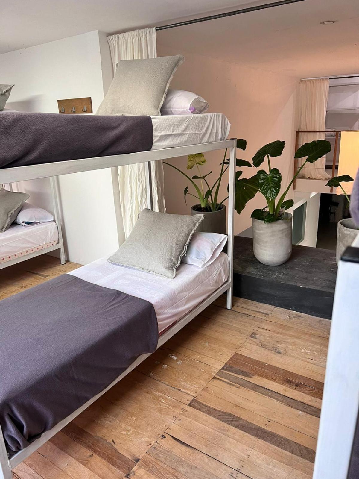 One-Bedroom House photo 2