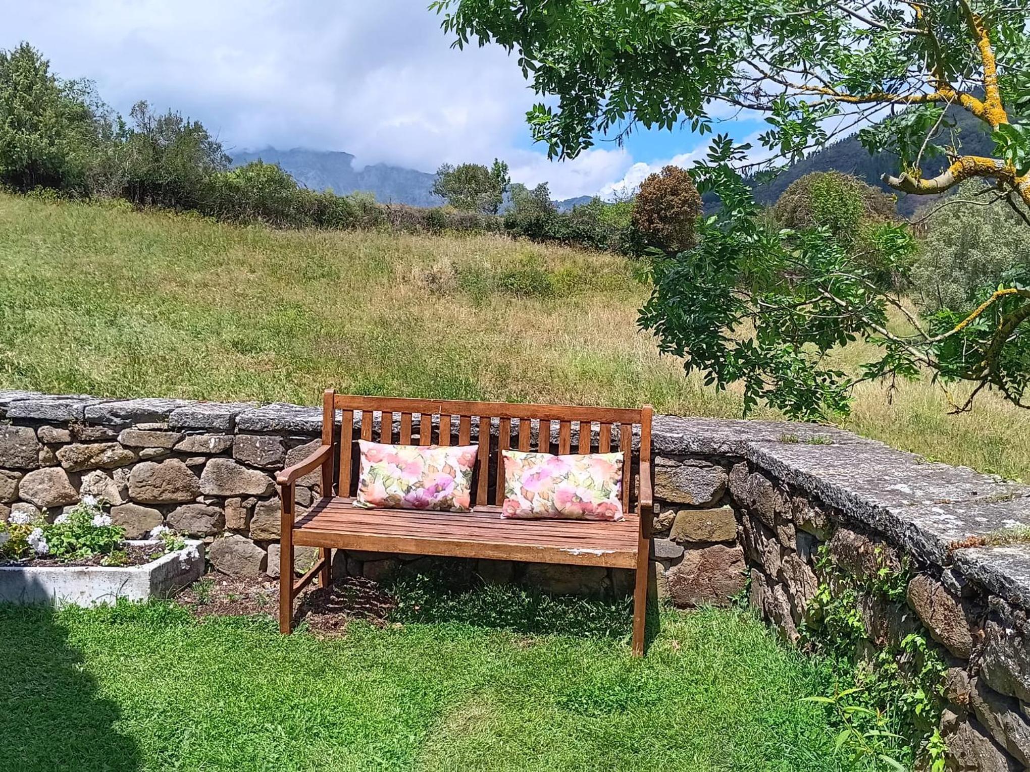 Studio with Garden View photo 2