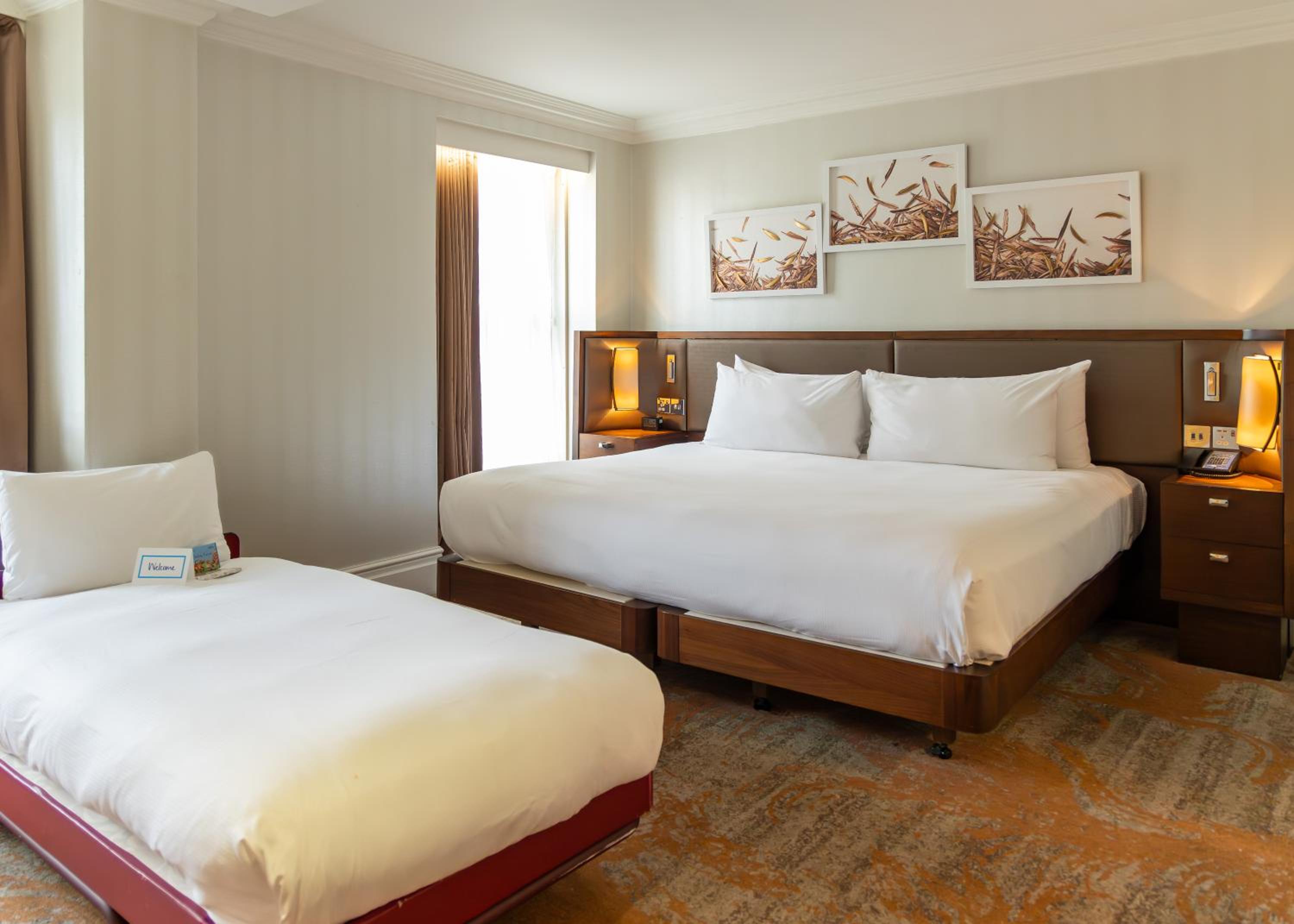Deluxe King Room with View photo 3