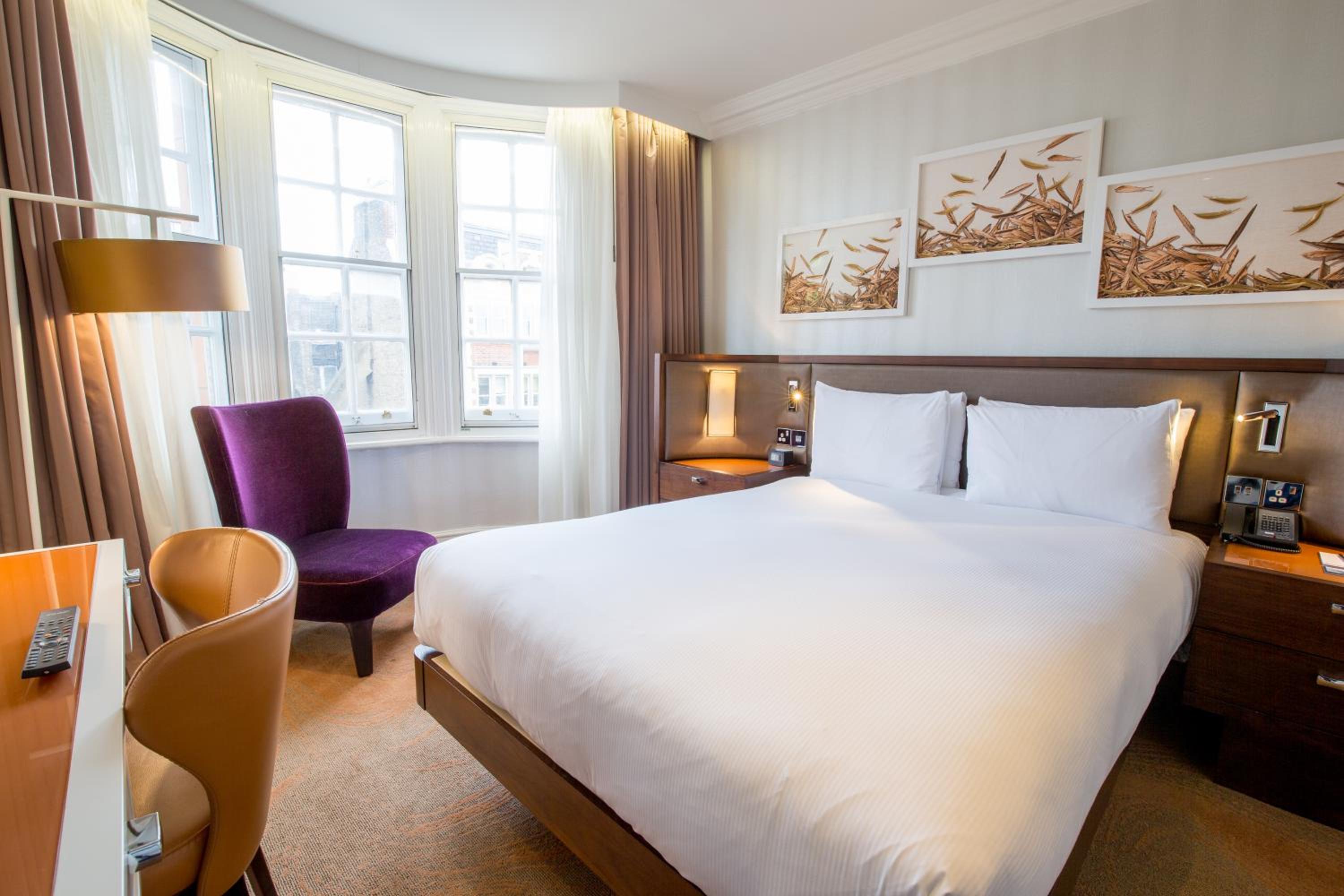 Queen Room with View photo 3
