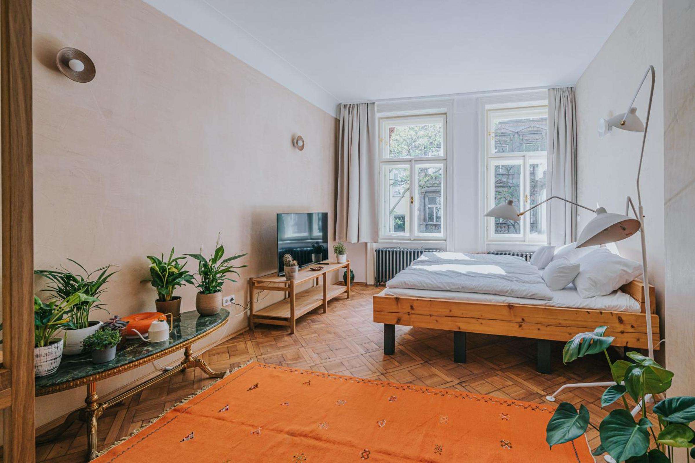 Deluxe Apartment