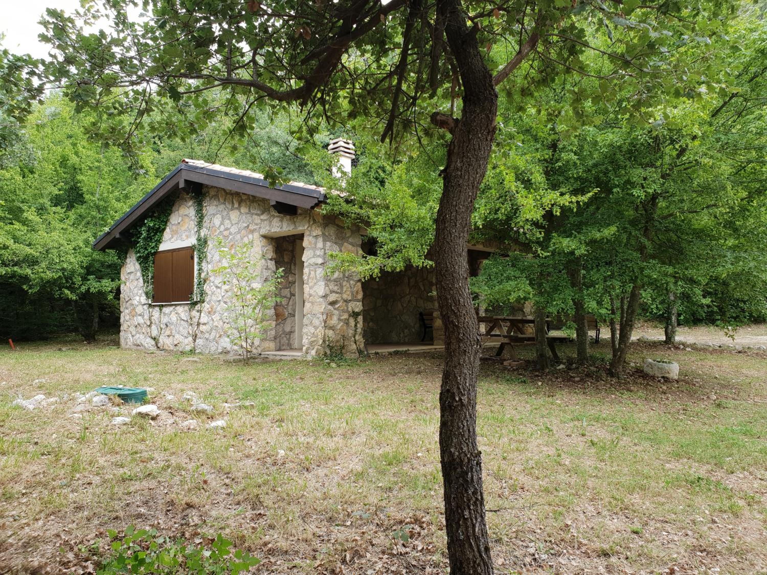 One-Bedroom House photo 3