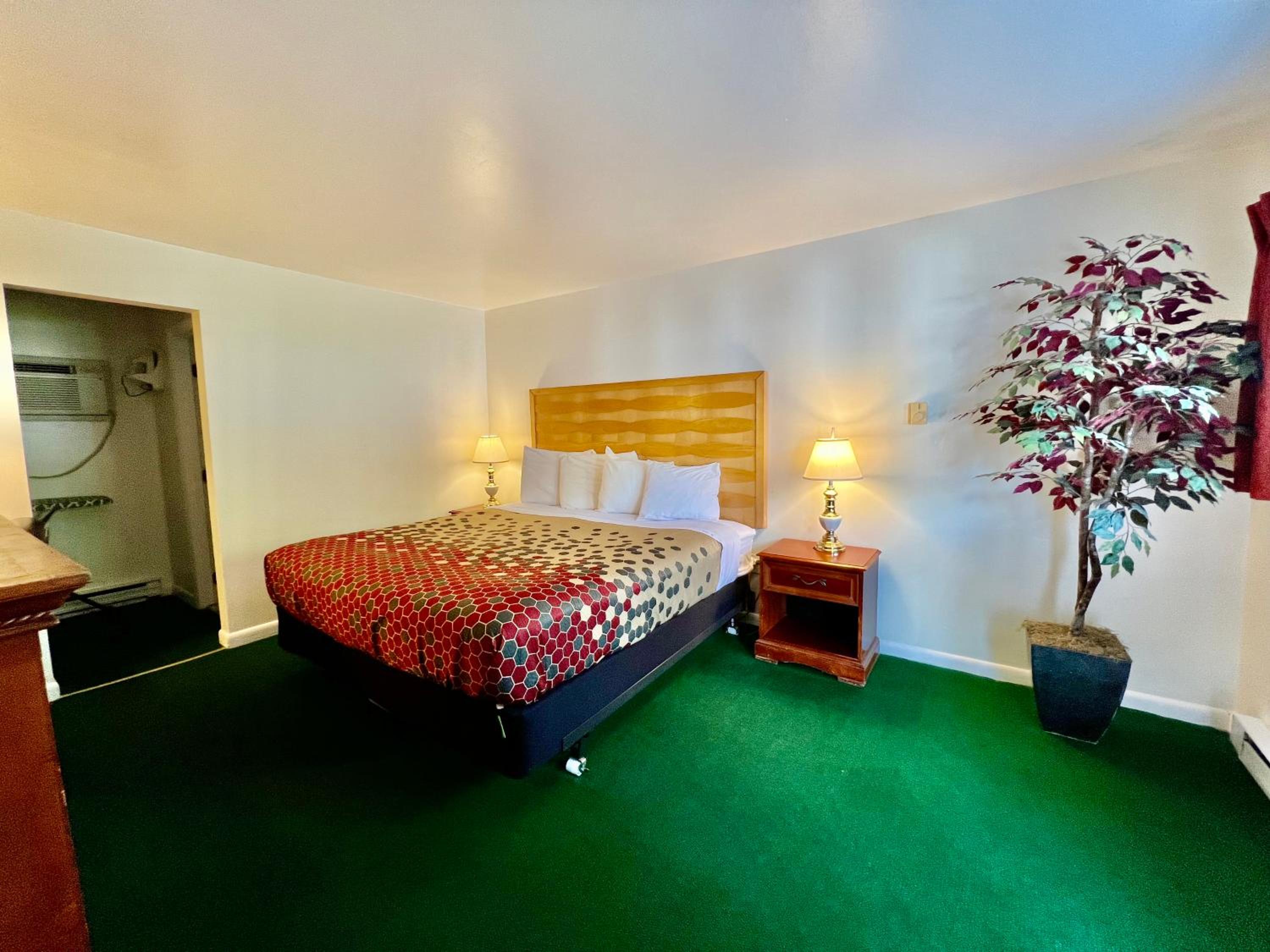 King Room - Non-Smoking - Photo 4
