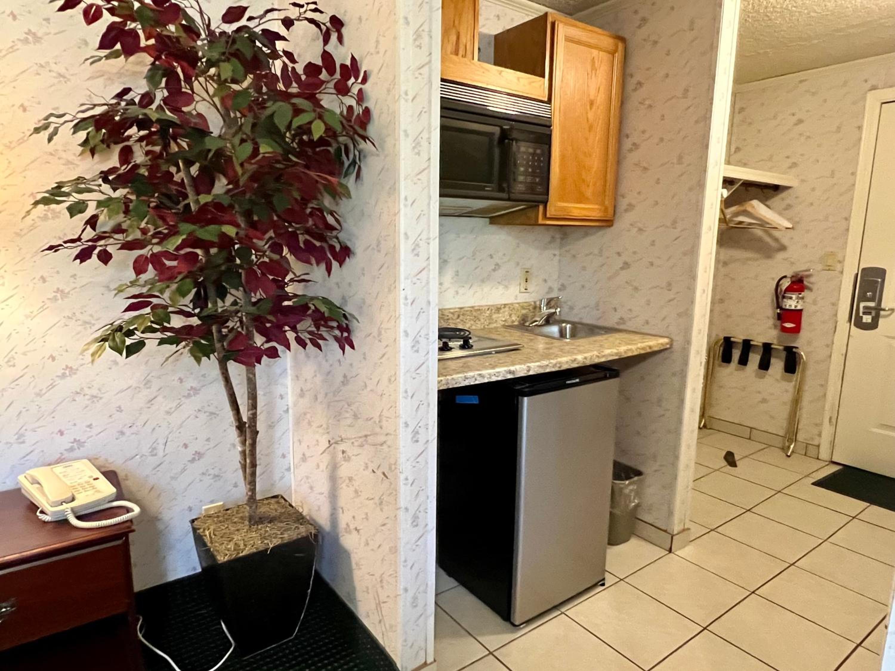 King Suite with Kitchenette - Photo 2