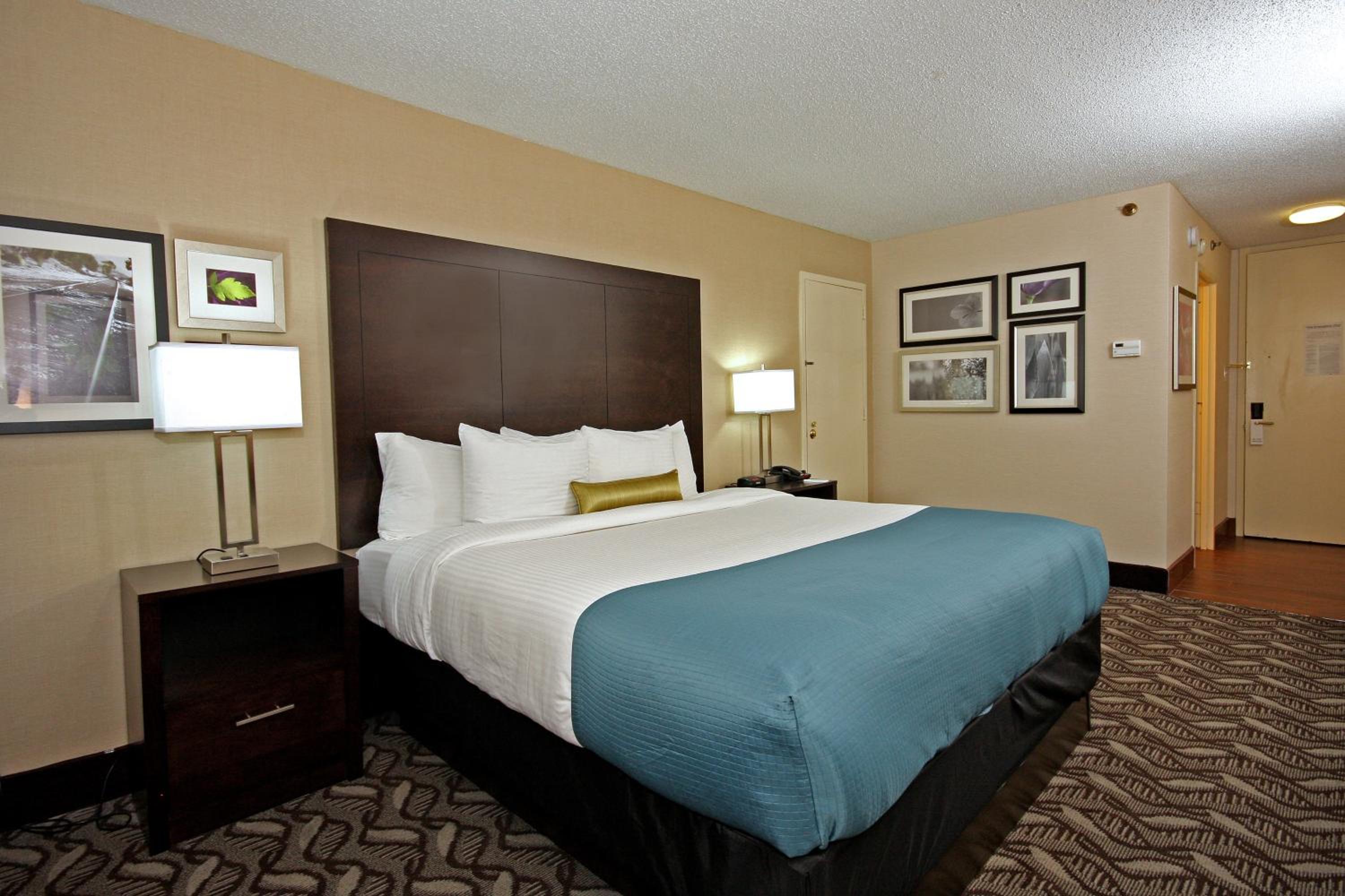 King Room - Photo 3