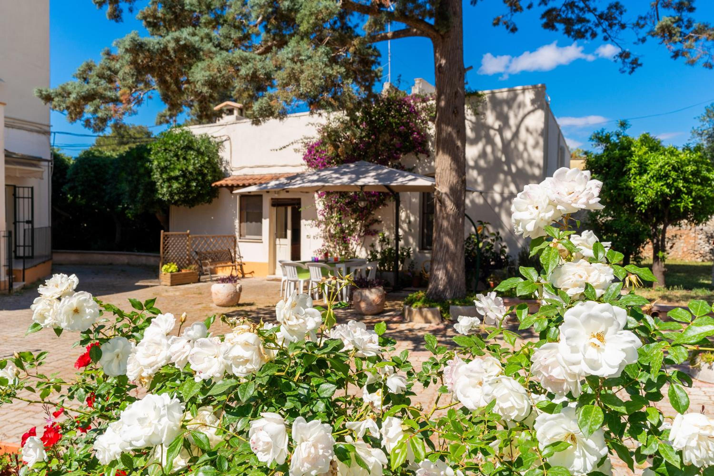 Vacation Home photo 2