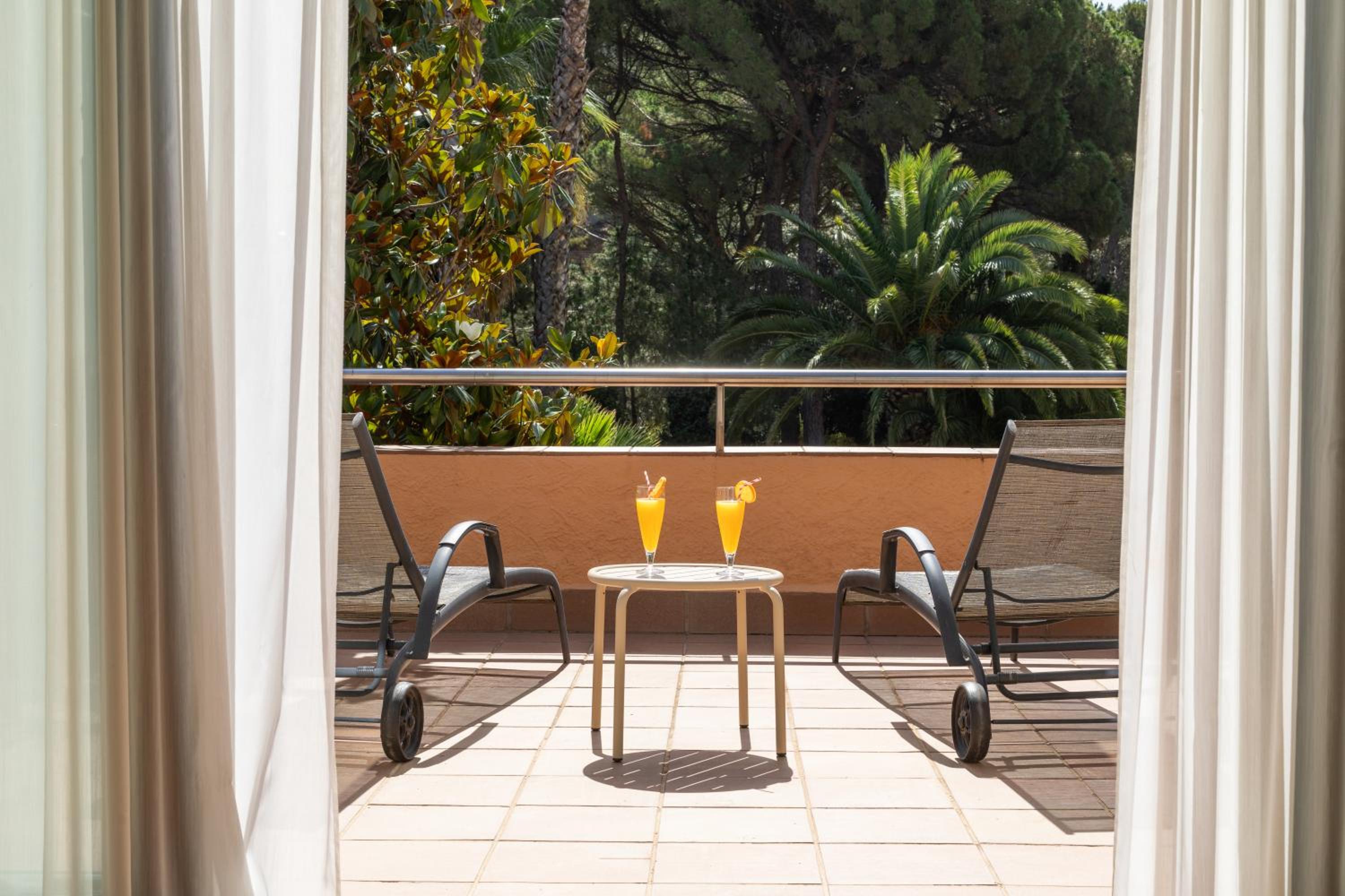 Junior Suite with Terrace photo 2