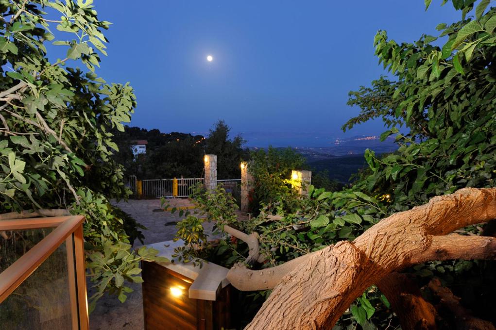 Suite with Spa Bath (Etz Hatut) - Photo 4