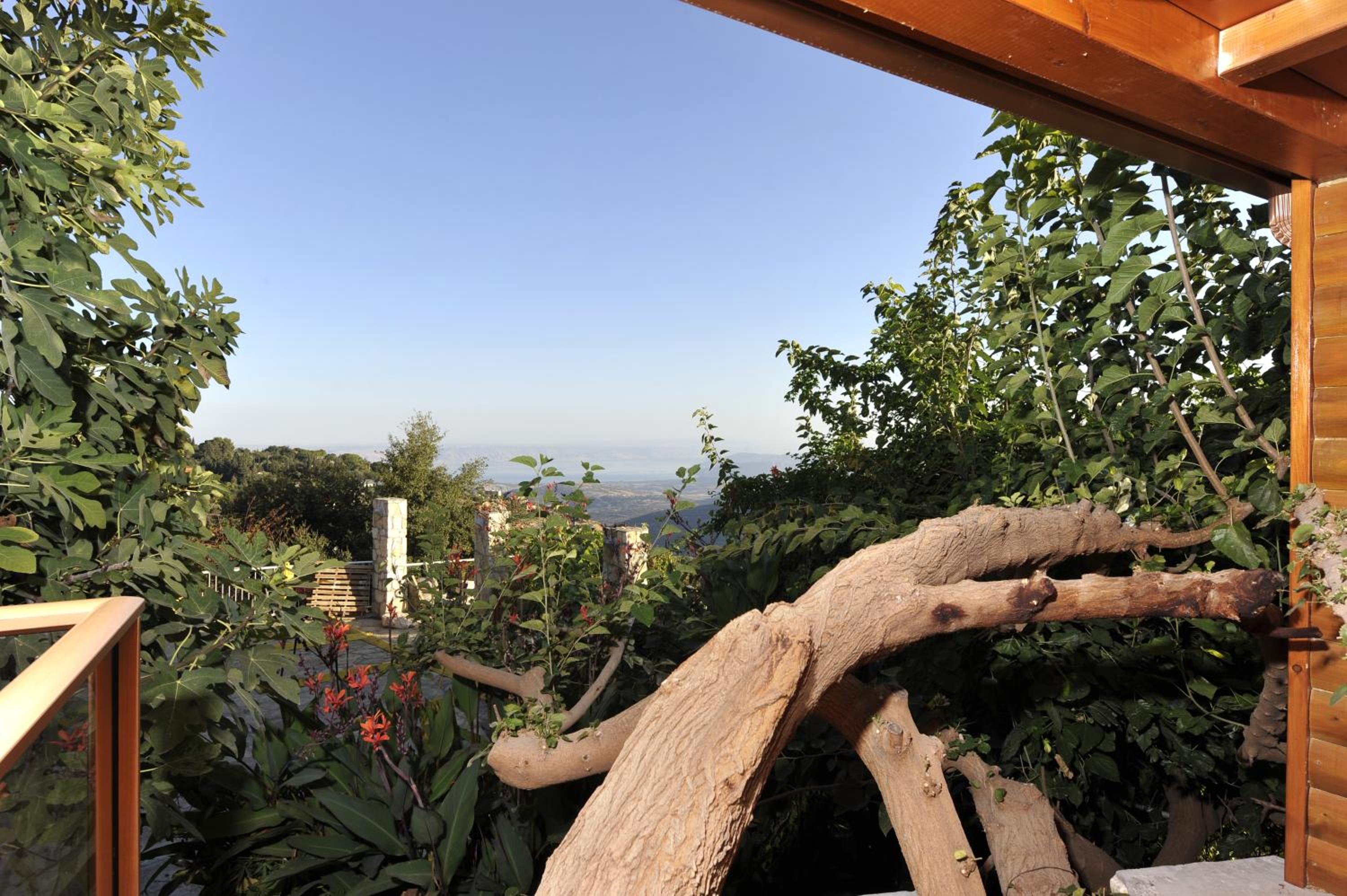 Suite with Spa Bath (Etz Hatut) - Photo 12