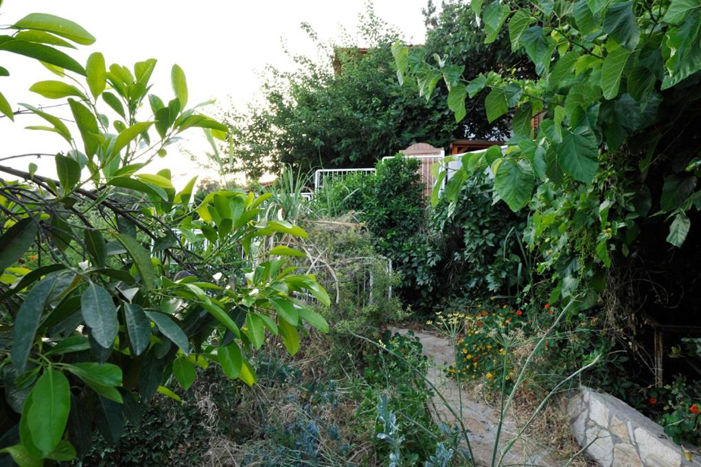 Suite with Lake View (Ofek) - Photo 7