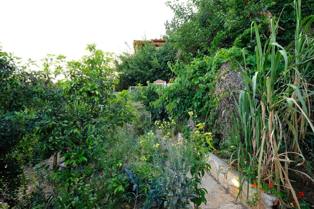 Suite with Lake View (Ofek) - Photo 3