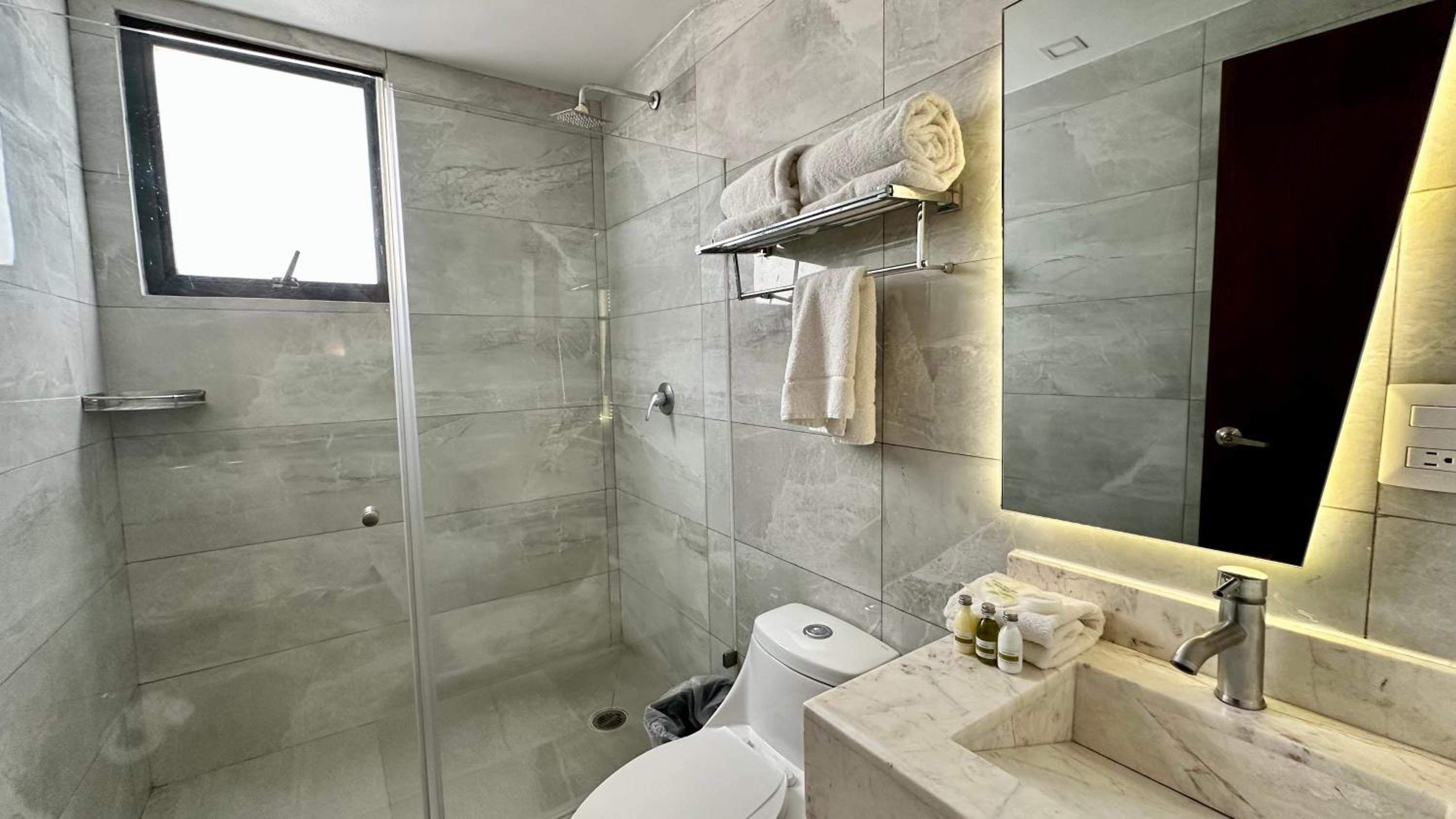 Deluxe Queen Suite - Photo 19