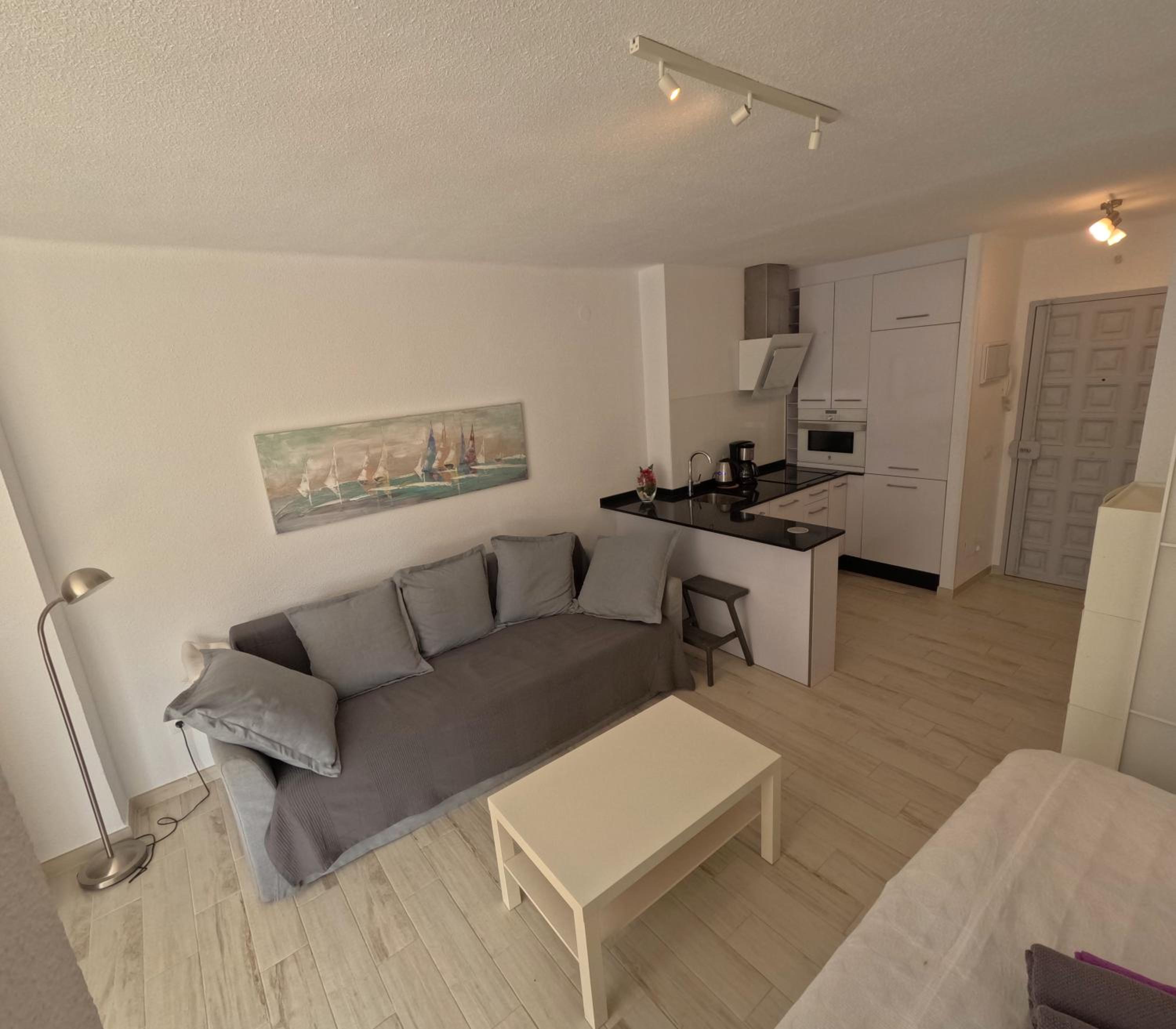One-Bedroom Apartment photo 2