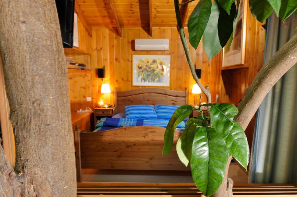 Suite with Garden View (Habeer Haksuma) - Photo 1