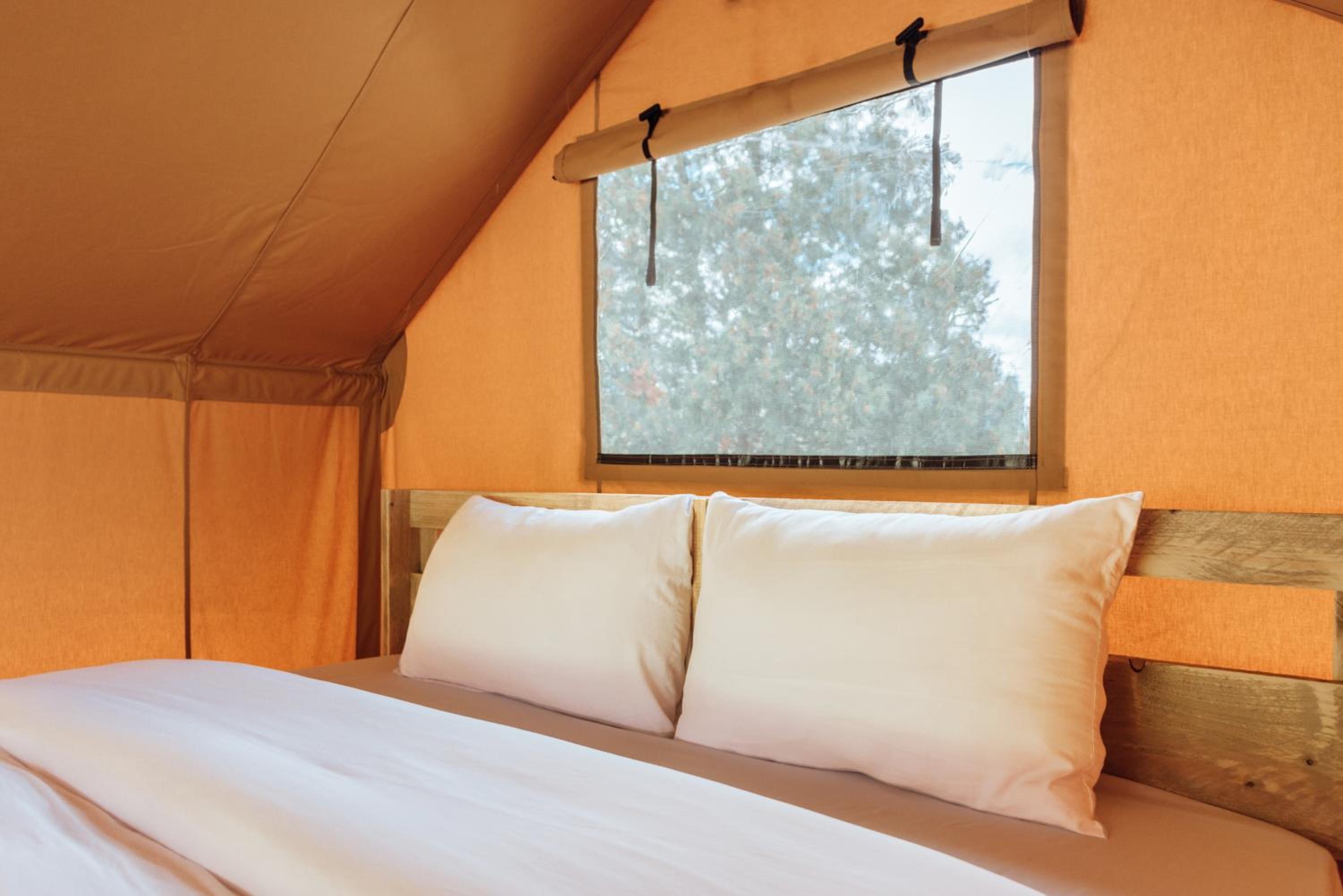 Tent photo 3