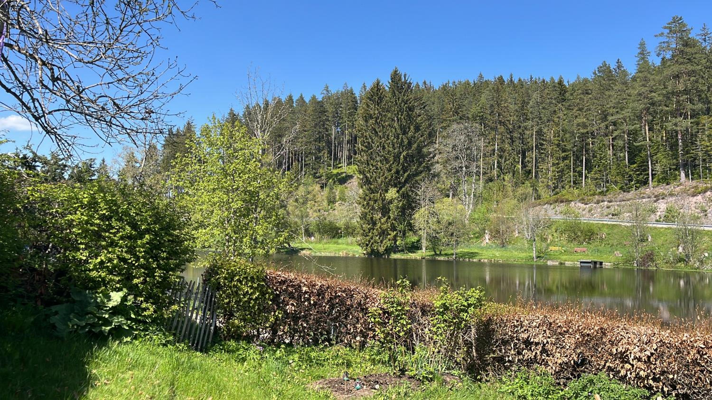 One-Bedroom Apartment with Lake View photo 3