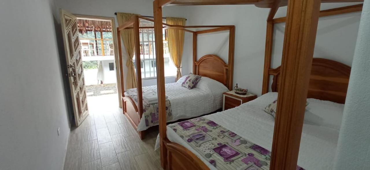 Twin Room photo 1